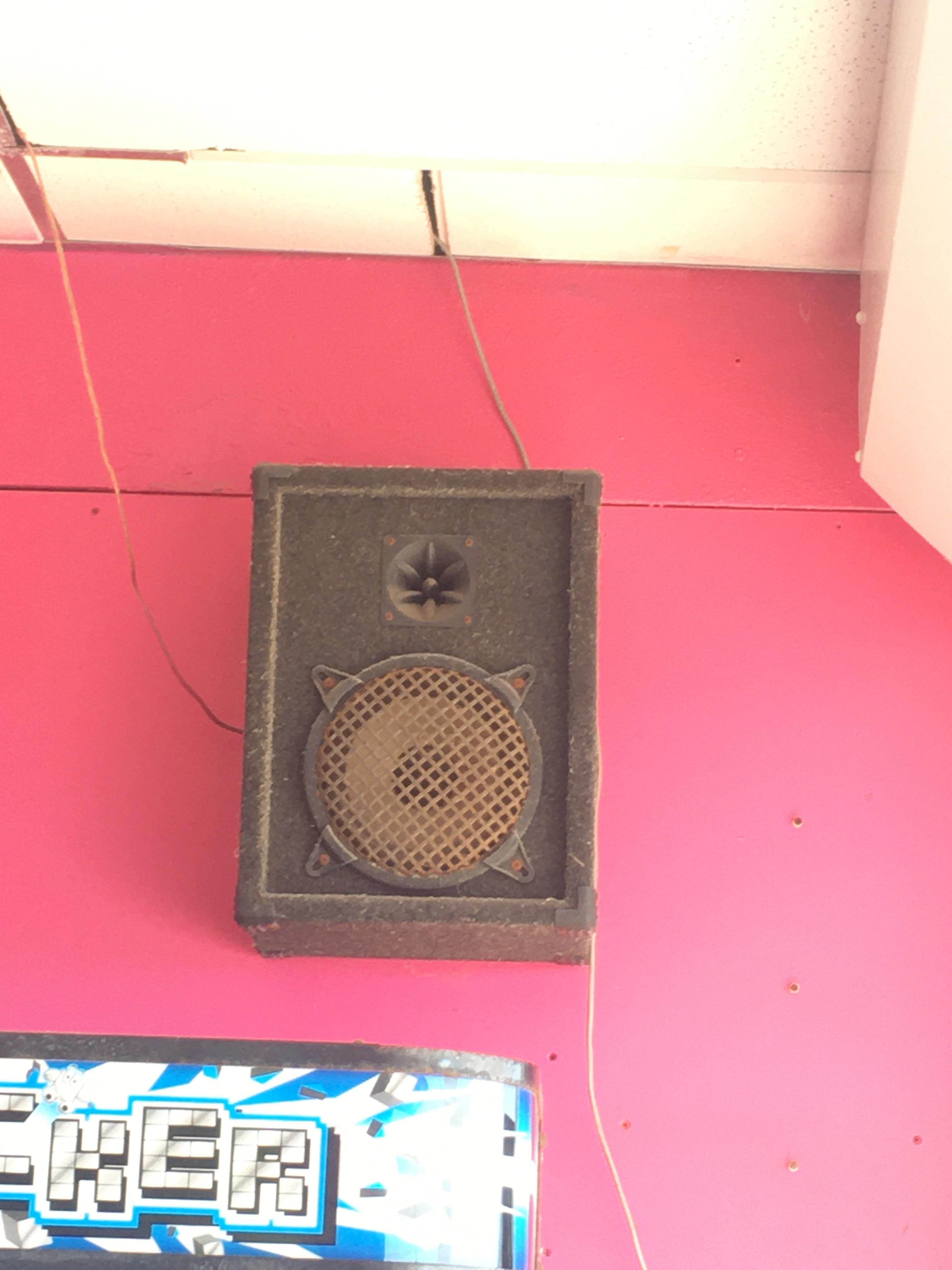 What brand of speaker is this? How old is it? BudgetAudiophile