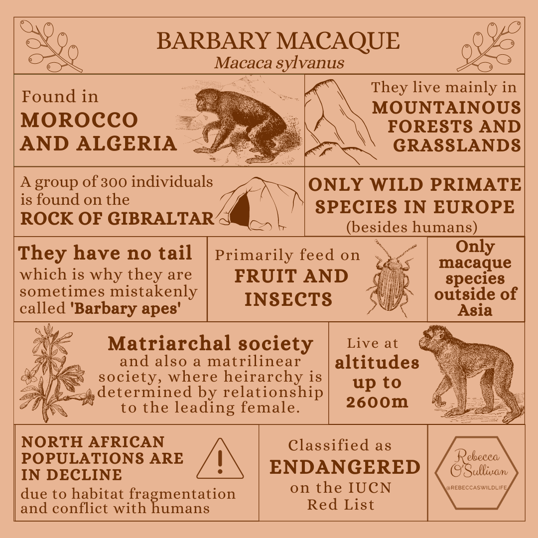 What are the highest paying and/or most exciting jobs in zoology and