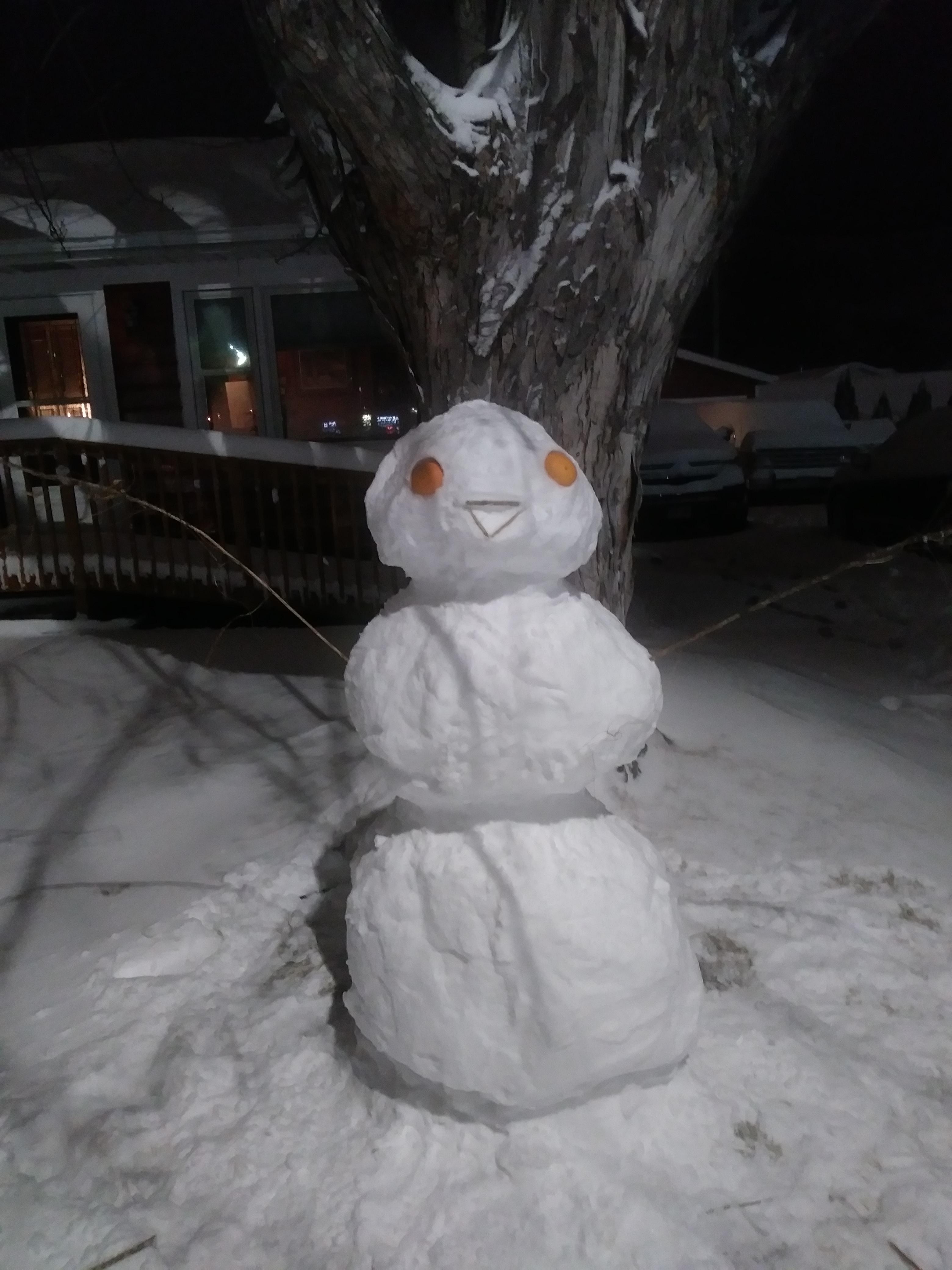 I challenge r/wisconsin to beat my snowman. r/wisconsin
