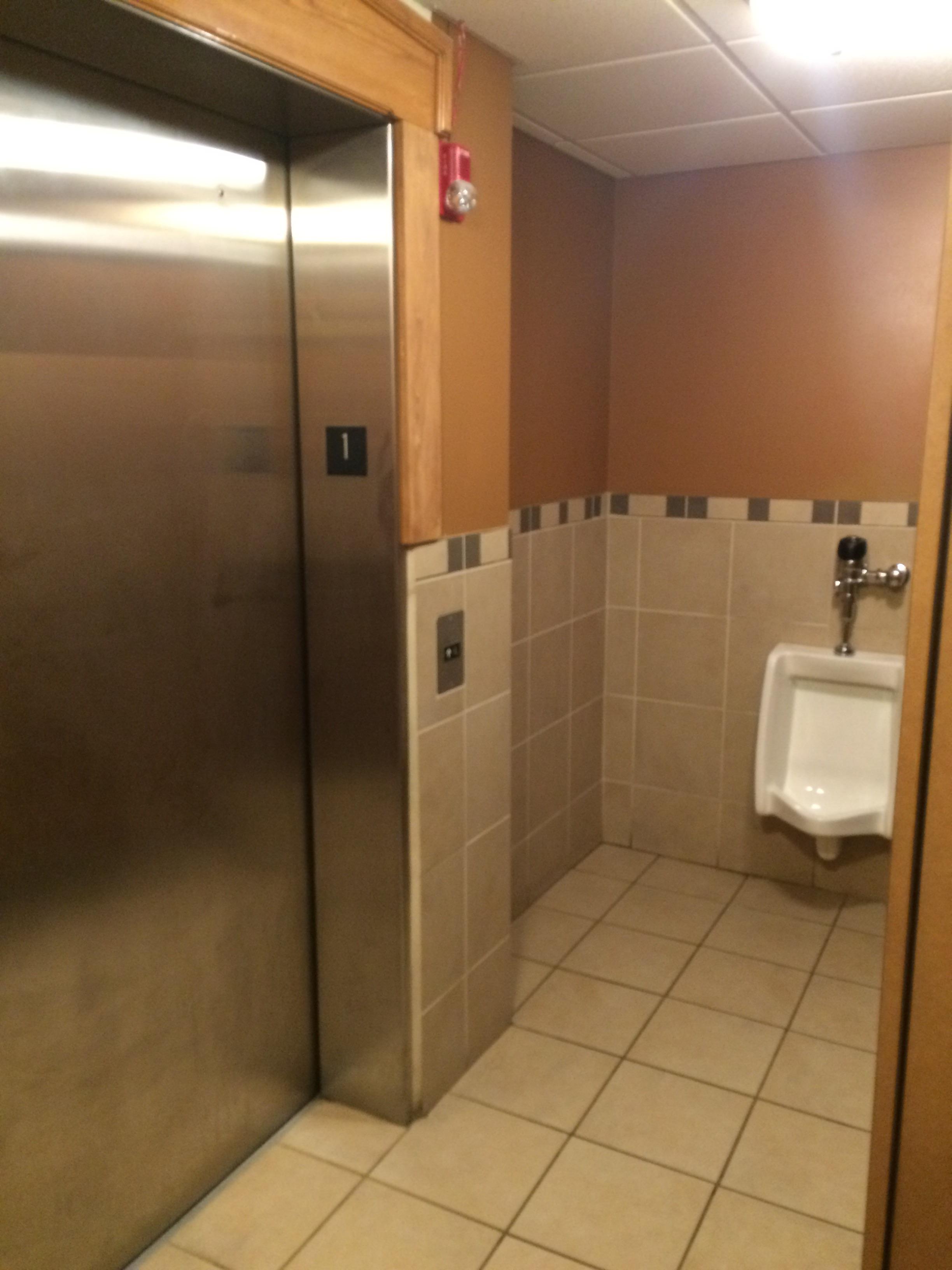 This bathroom has an elevator in it r/mildlyinteresting