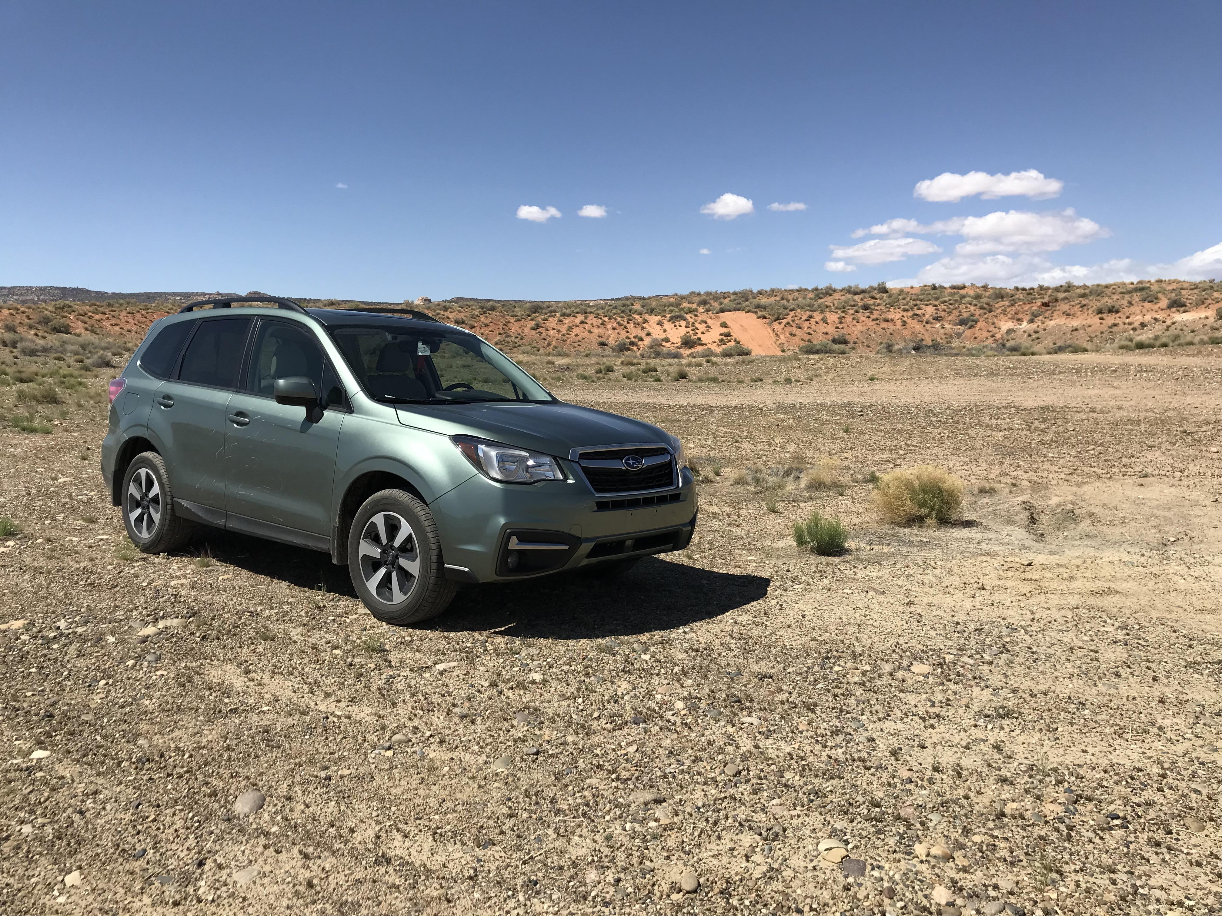 Happy 1st birthday to Lily! She’s got 20k miles on her, has been from