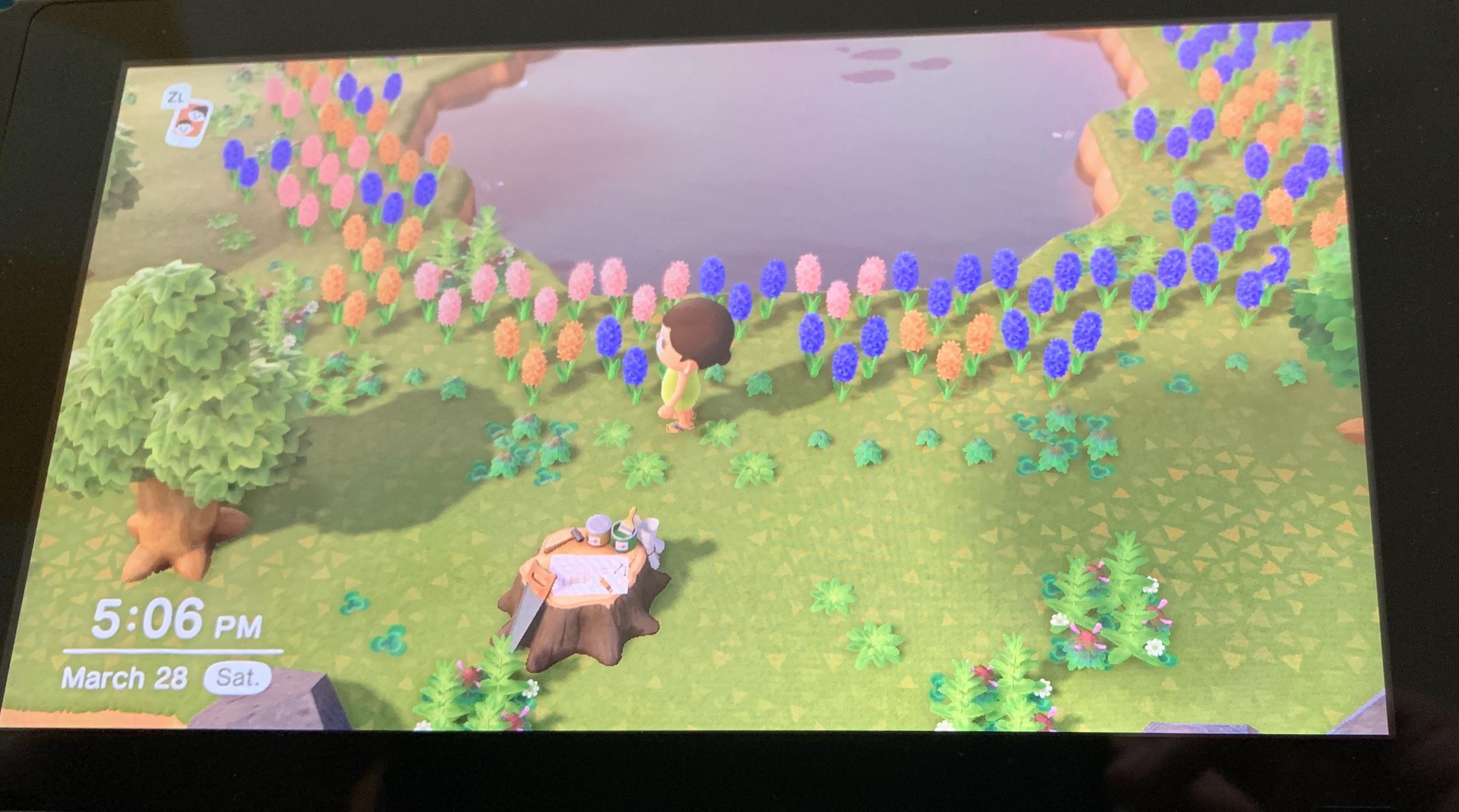 Landed on a hybrid hyacinths’ island! r/AnimalCrossing