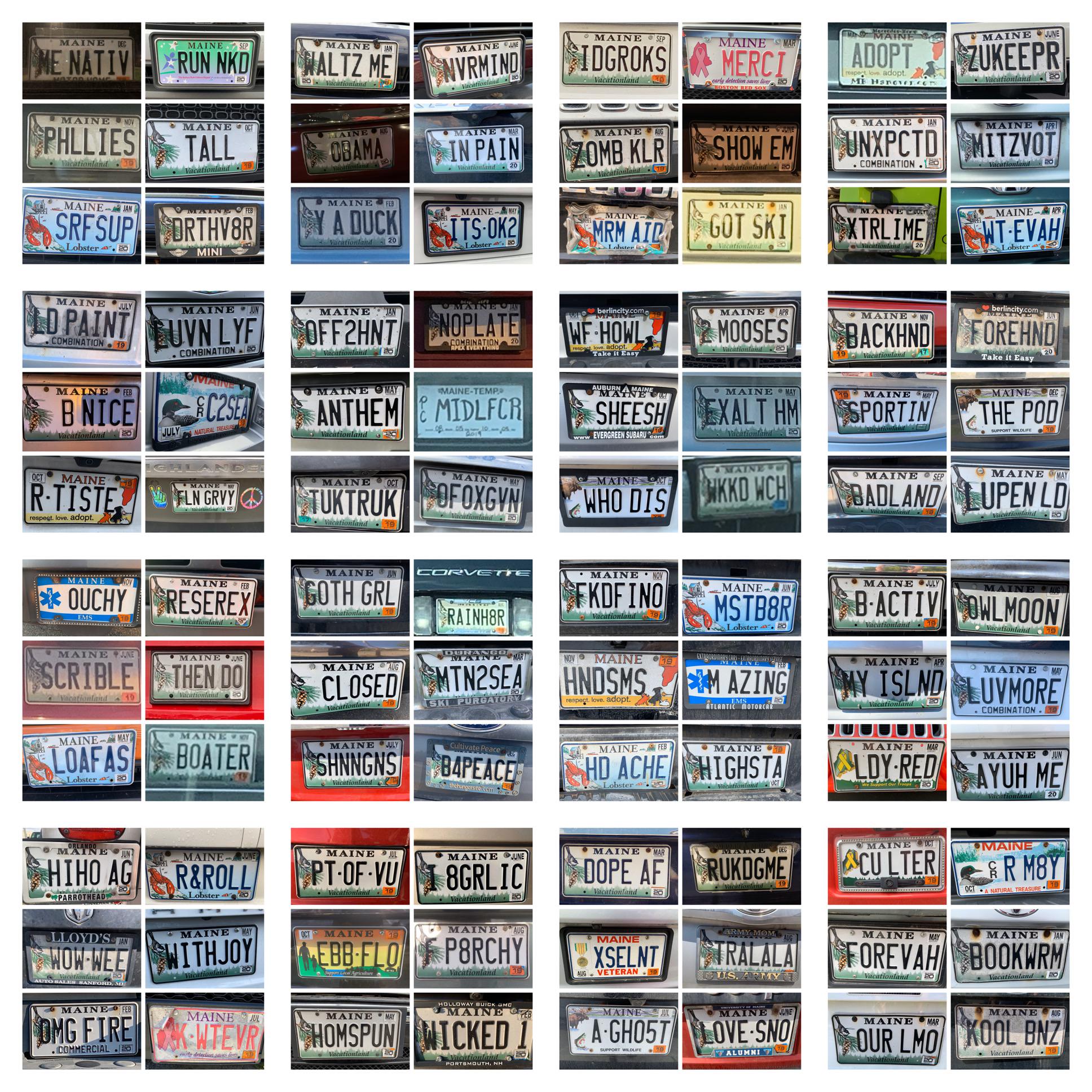 I mean, how could you NOT love Maine when its people are this witty