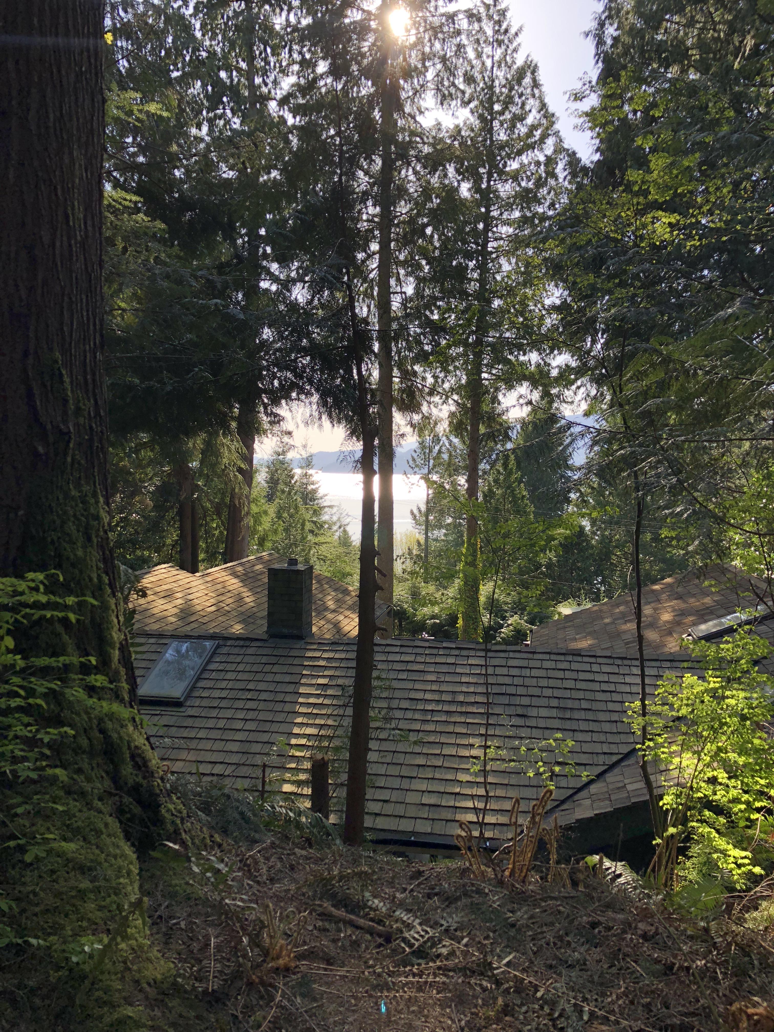 Backyard view in Lions Bay, BC r/CozyPlaces
