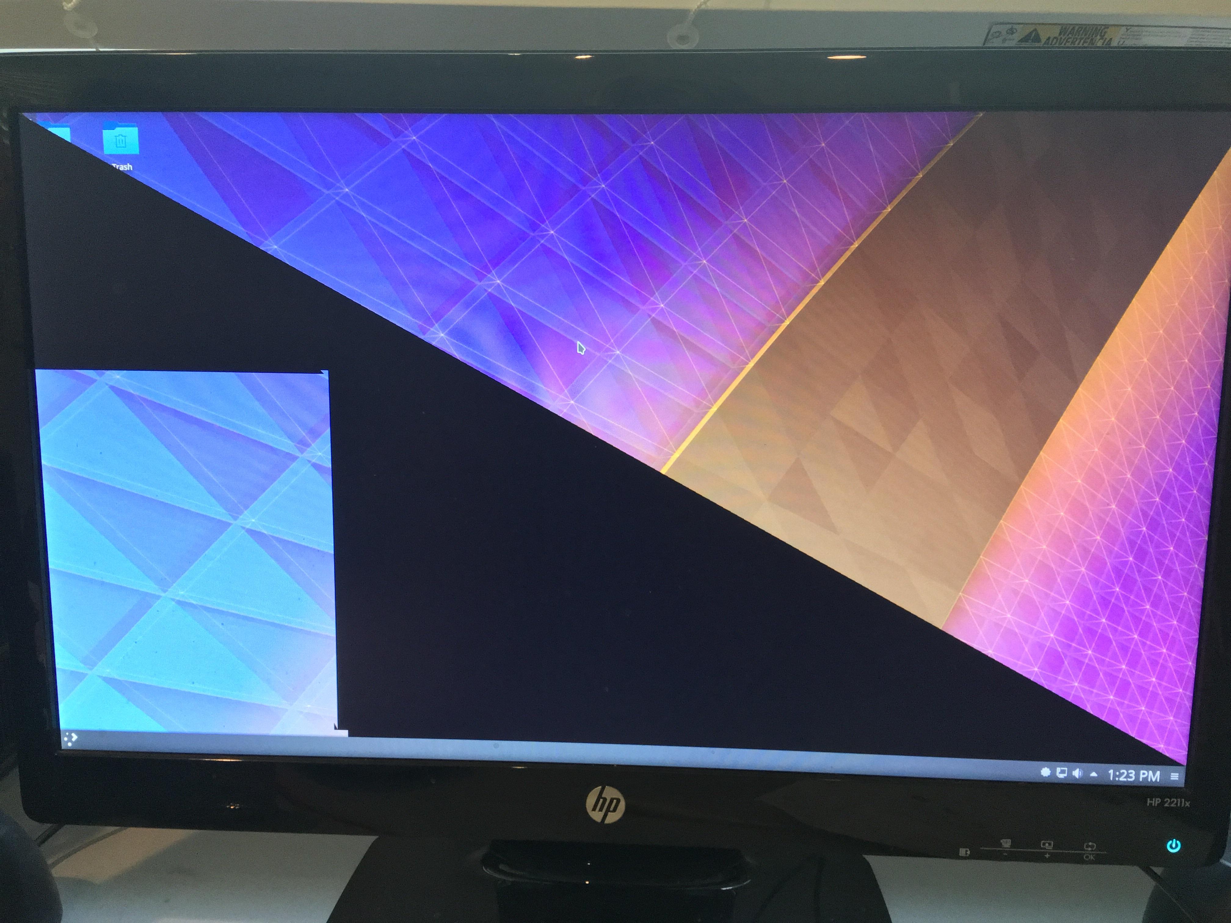 Partial Black Screen of Death r/softwaregore