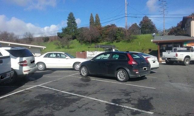 I parked my car and every other car in the lot was white