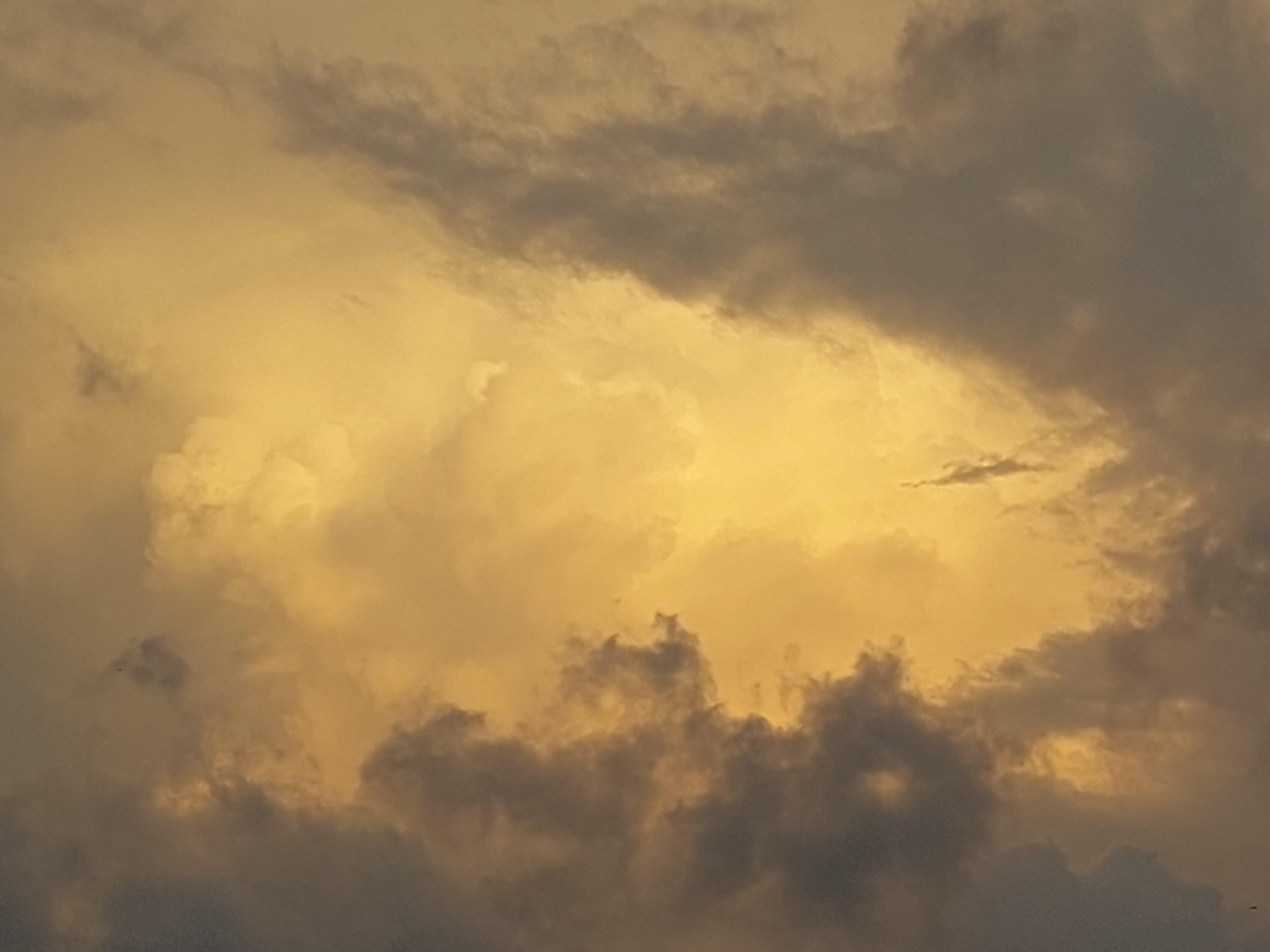 This picture of the sky I clicked today looks like a renaissance