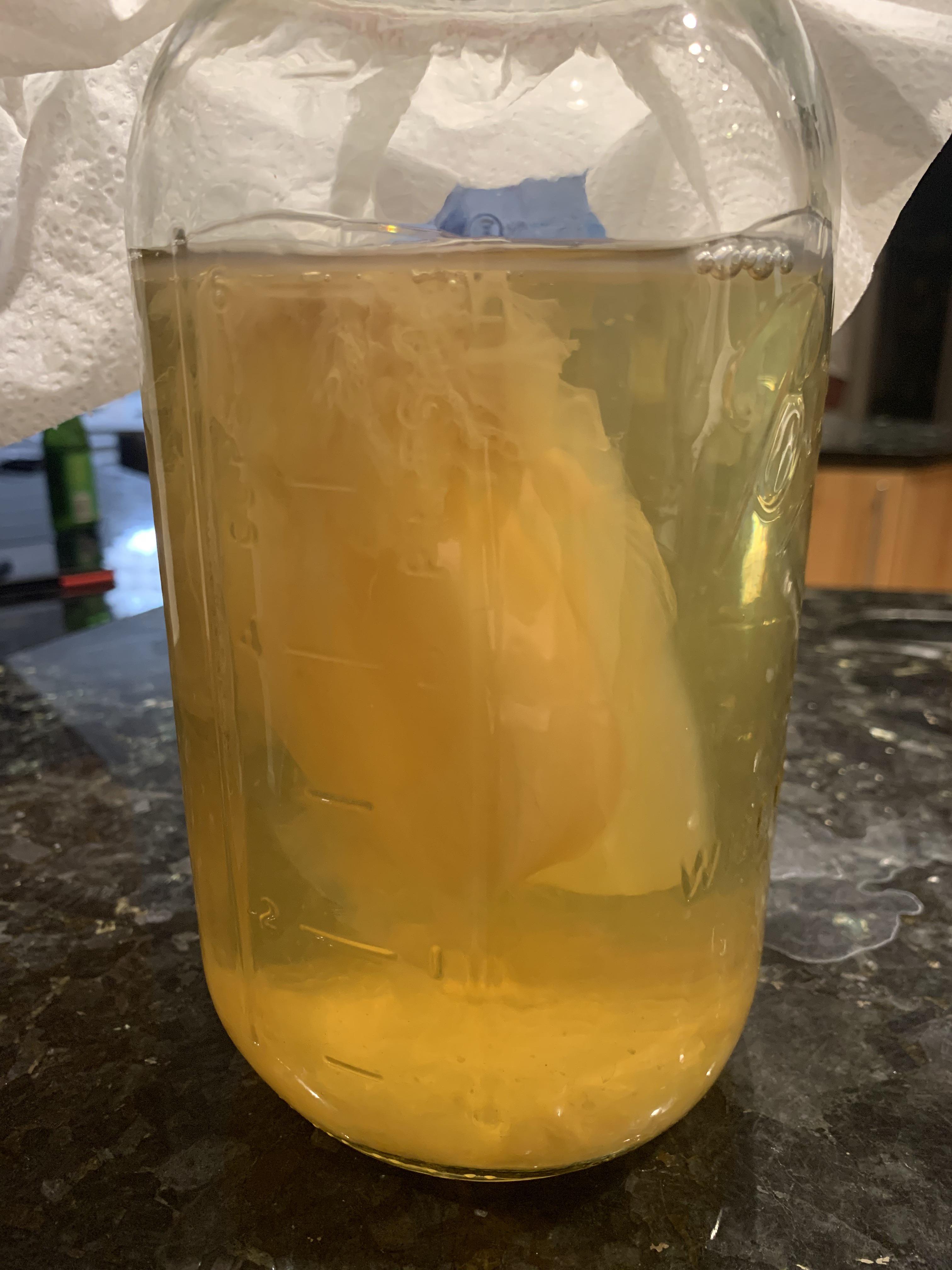 Is my Kombucha okay? This is my first batch and it’s been fermenting for 10 days. I was planning