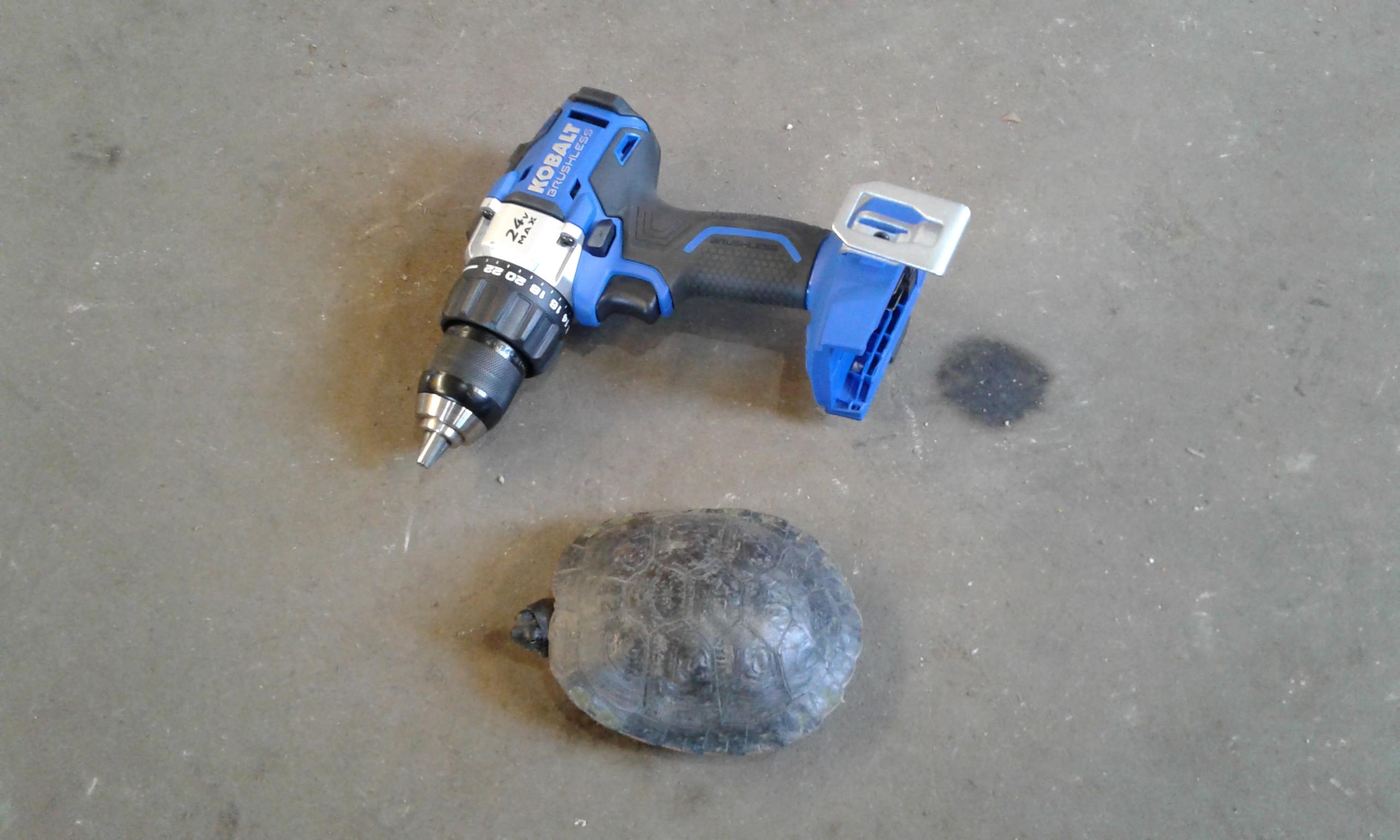 Just crawled into the shop. Drill for size comparison. : r