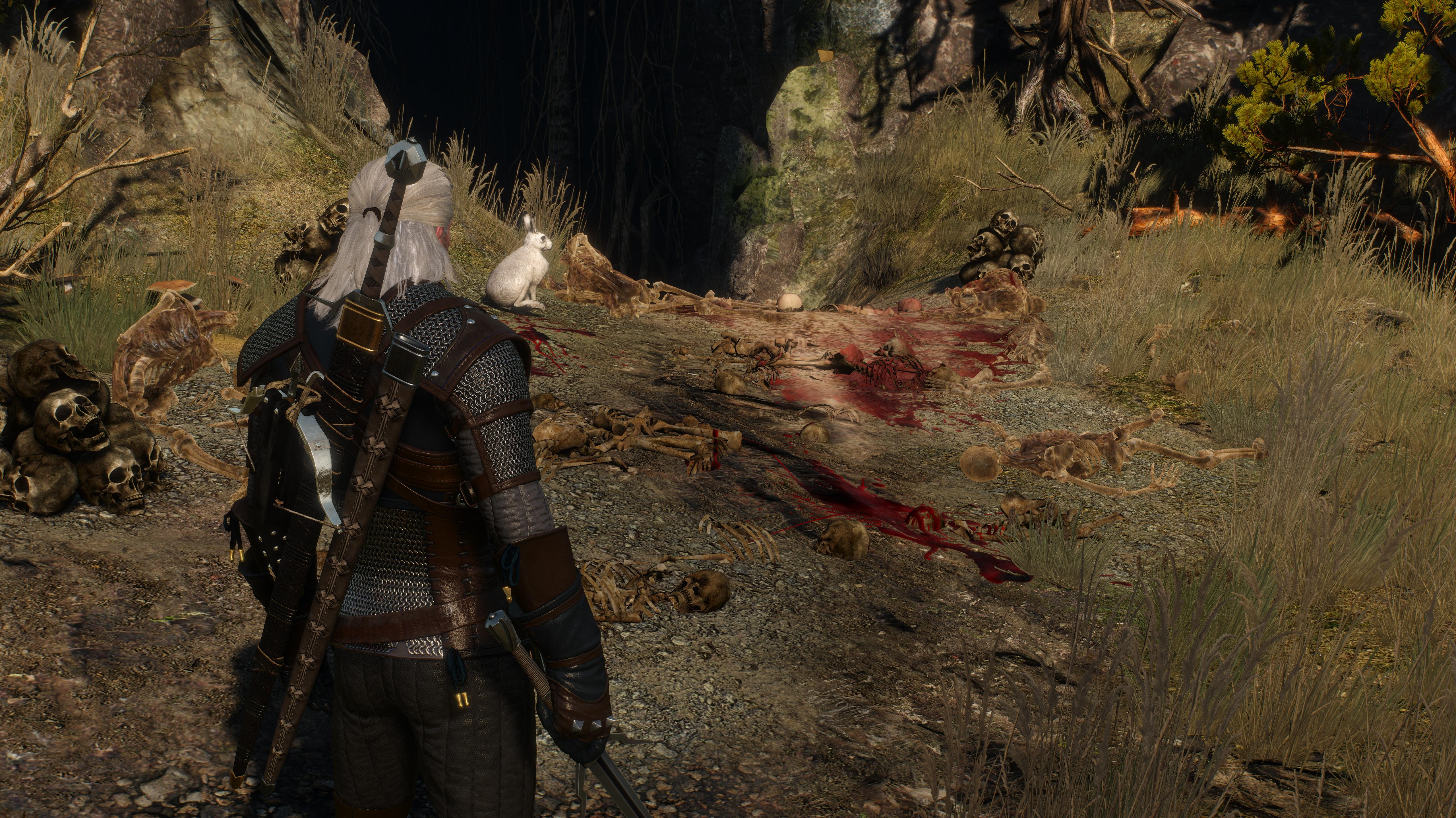 The Killer Rabbit of Caerbannog witcher