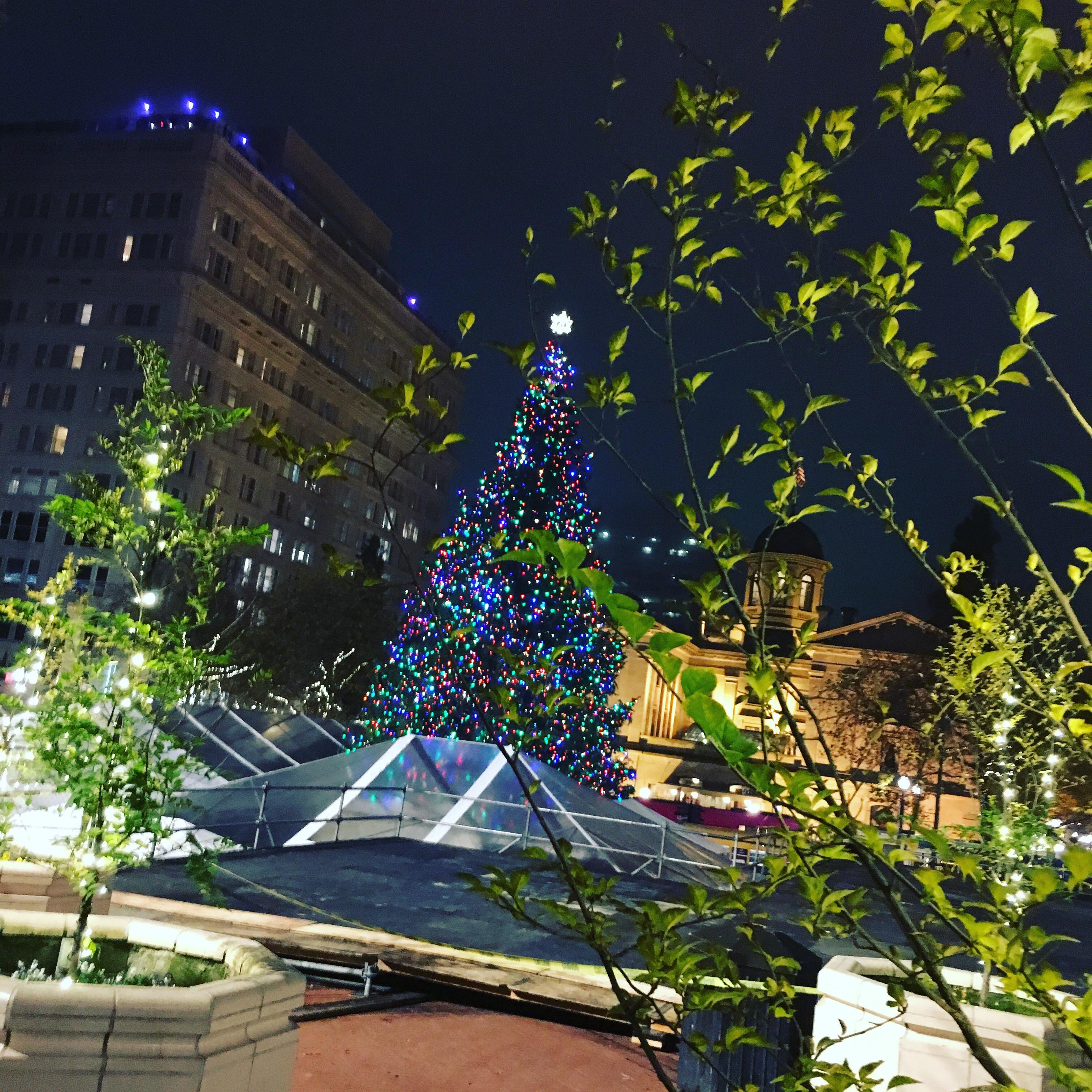 The annual Christmas tree in Portland Oregon r/pics