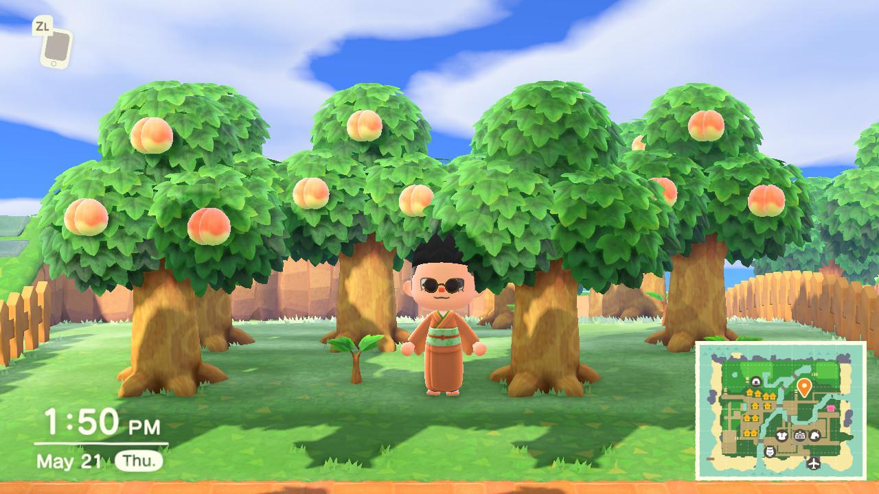 Help with tree placements r/AnimalCrossing