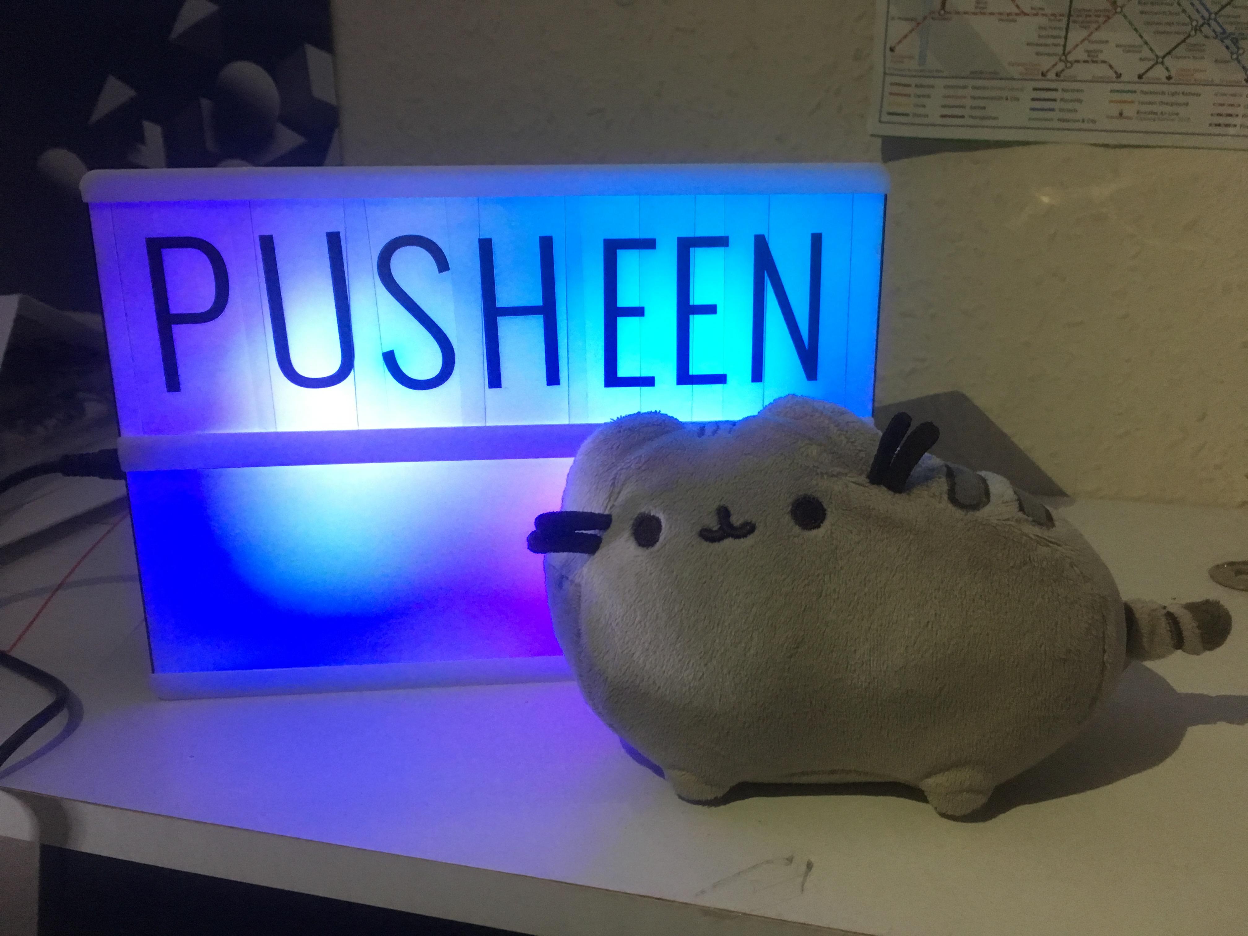 Pusheen's name in lights r/pusheen