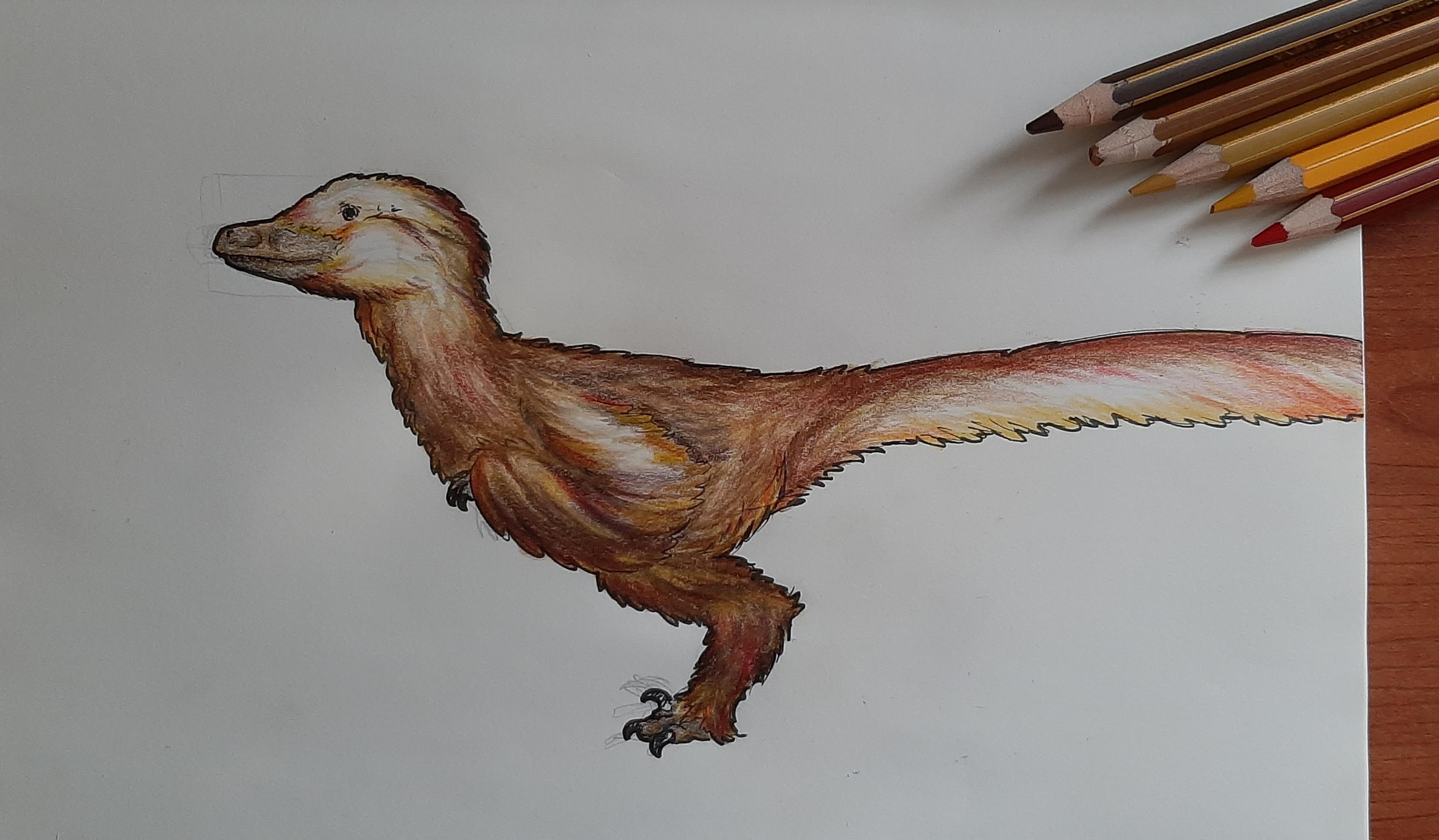 Fluffy Velociraptor that looks a bit dumb. [OC] r/Dinosaurs
