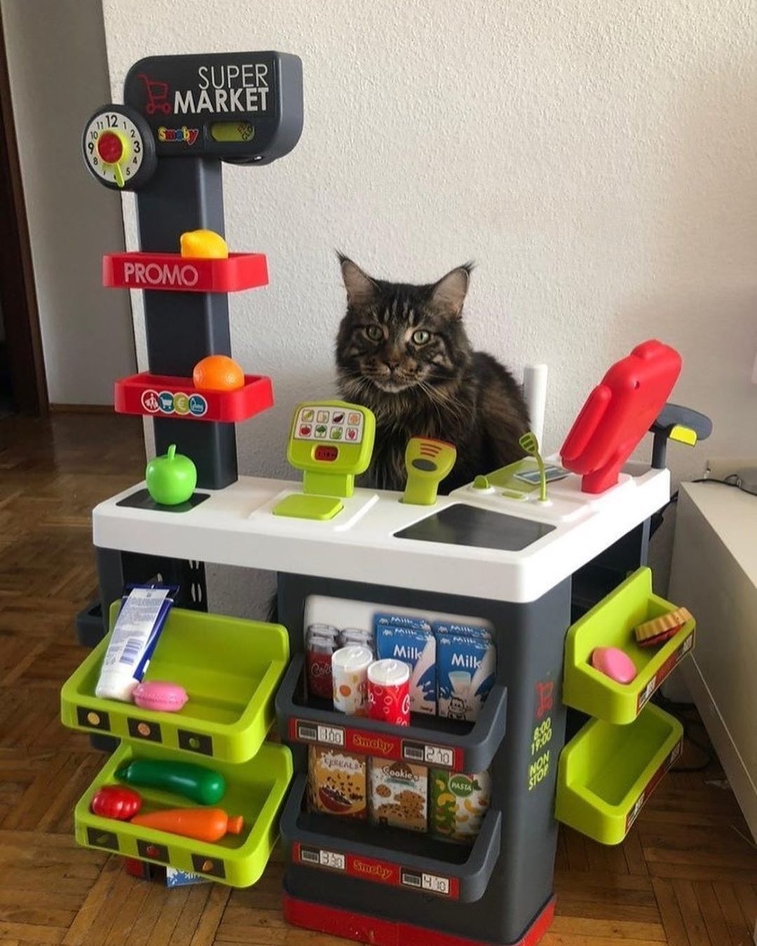 Supermarket Cat r/Catswithjobs