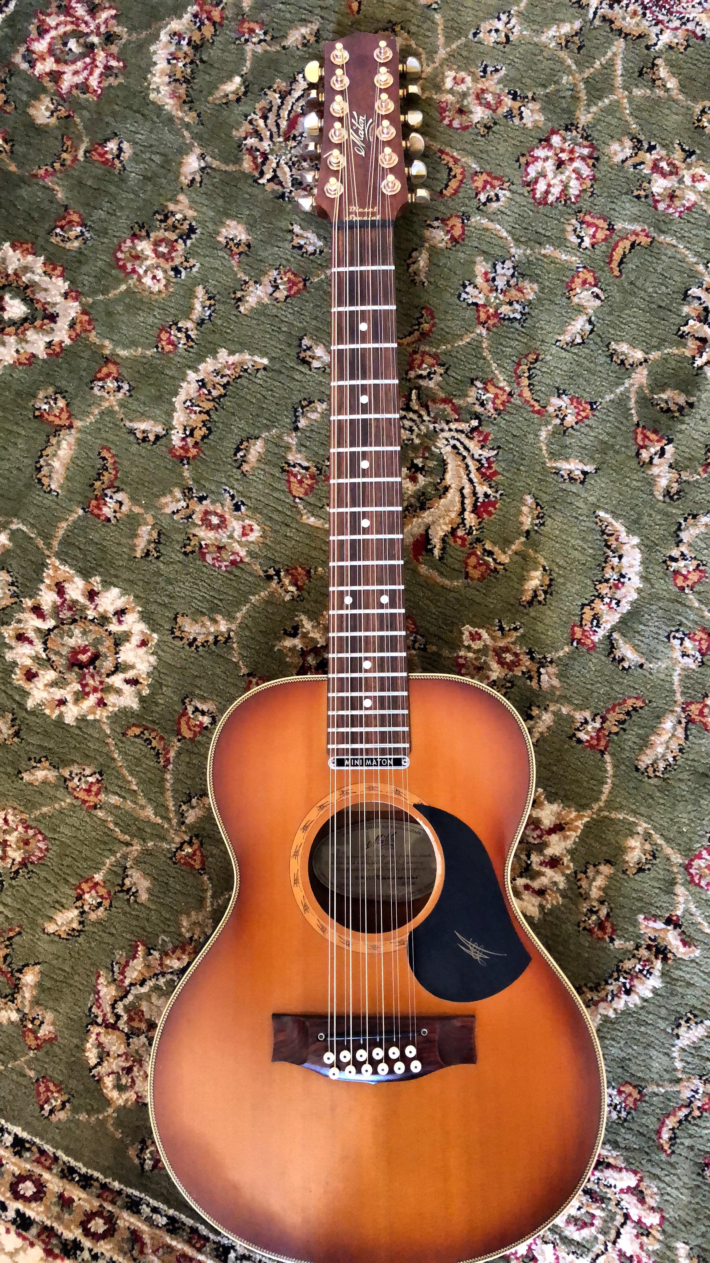 I play a heap of solo acoustic gigs too this guitar is probably on of