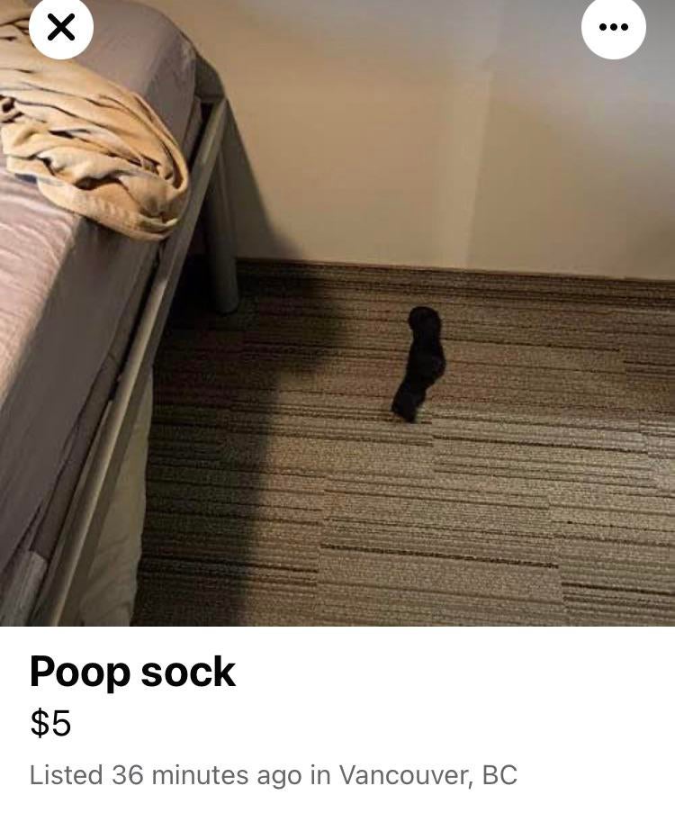 Poop sock r/shid_and_camed