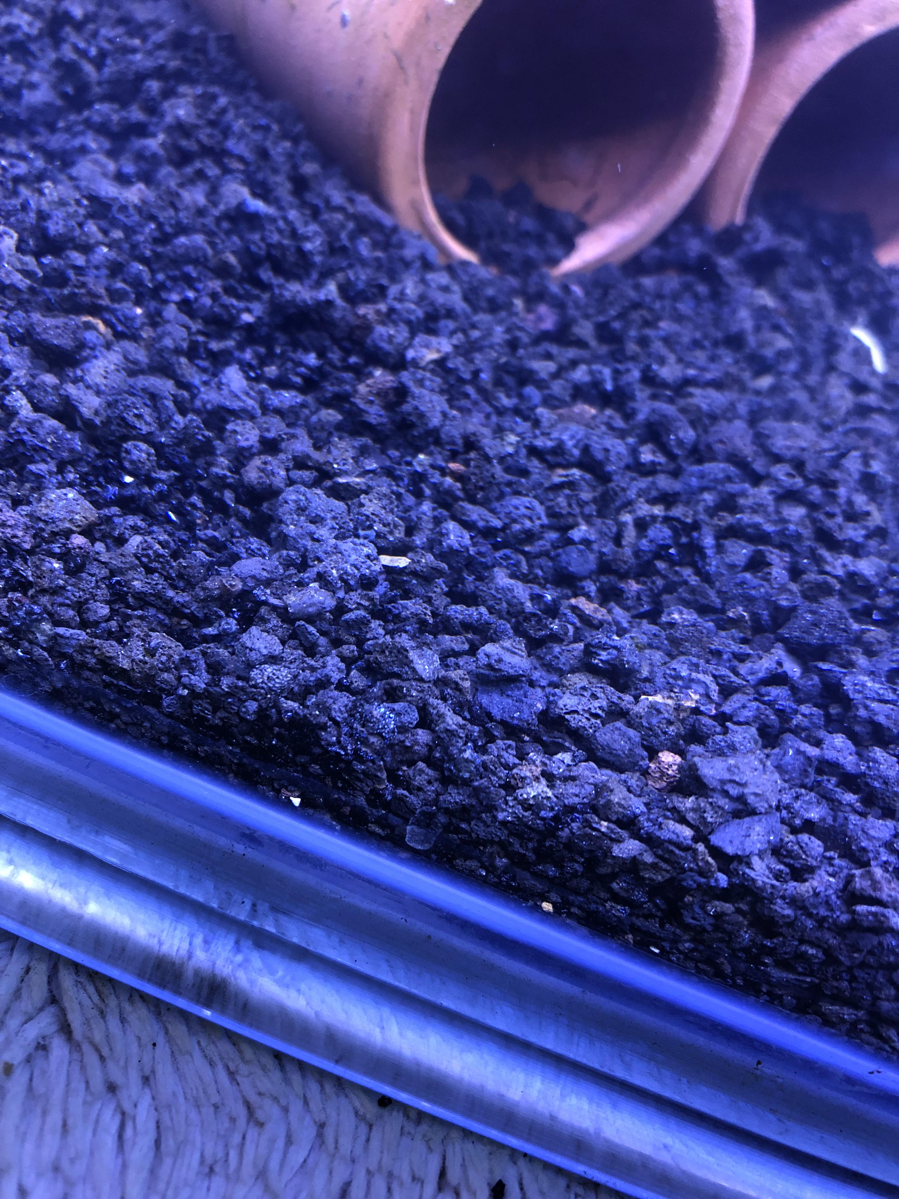 Best Gravel For Cory Cats at Lewis Hunter blog