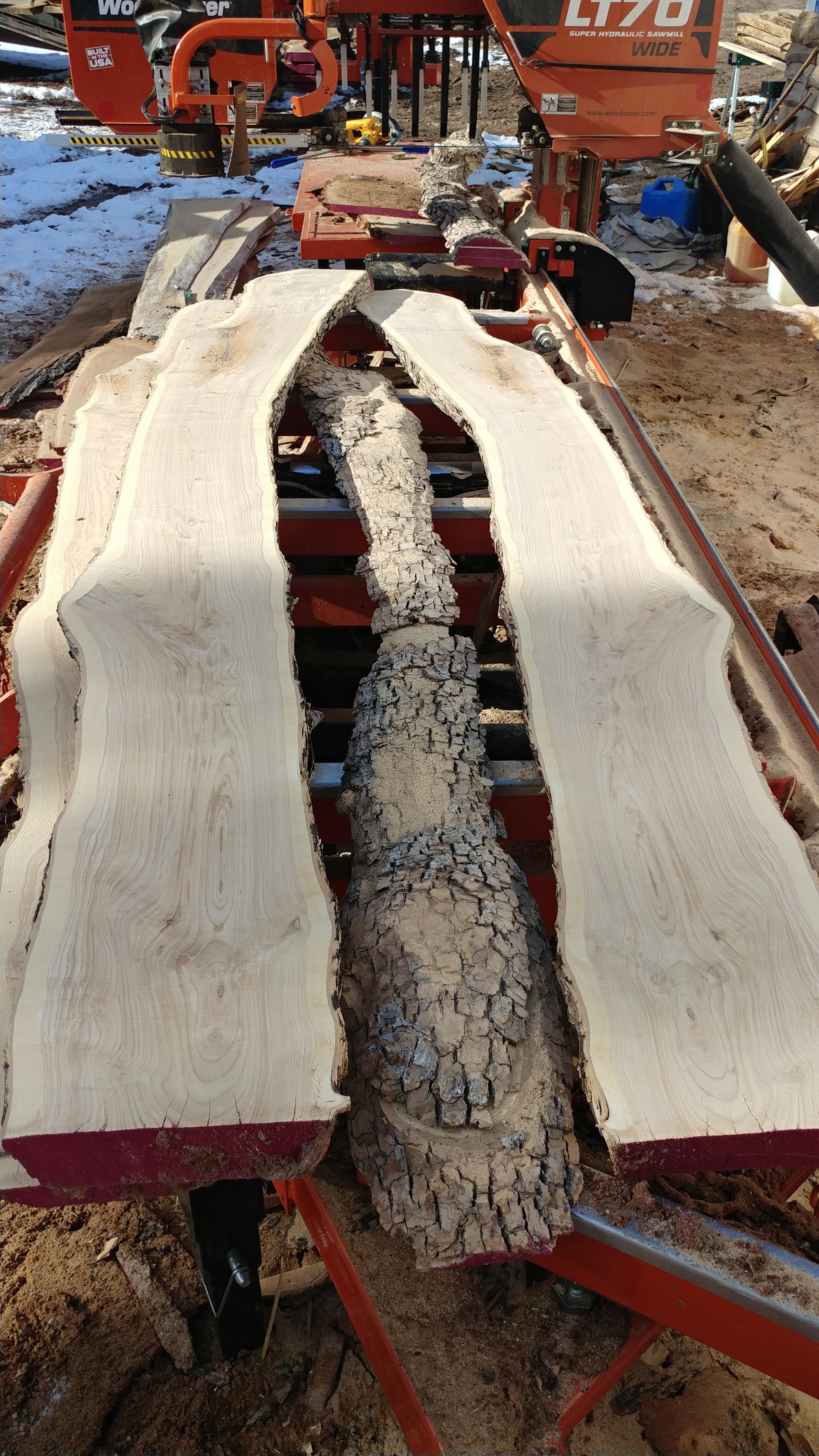 Zone 5a. What is this? r/whatsthisplant