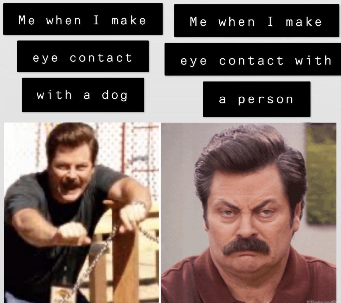 Any dogs under 50 pounds are a cat and cats are pointless. r