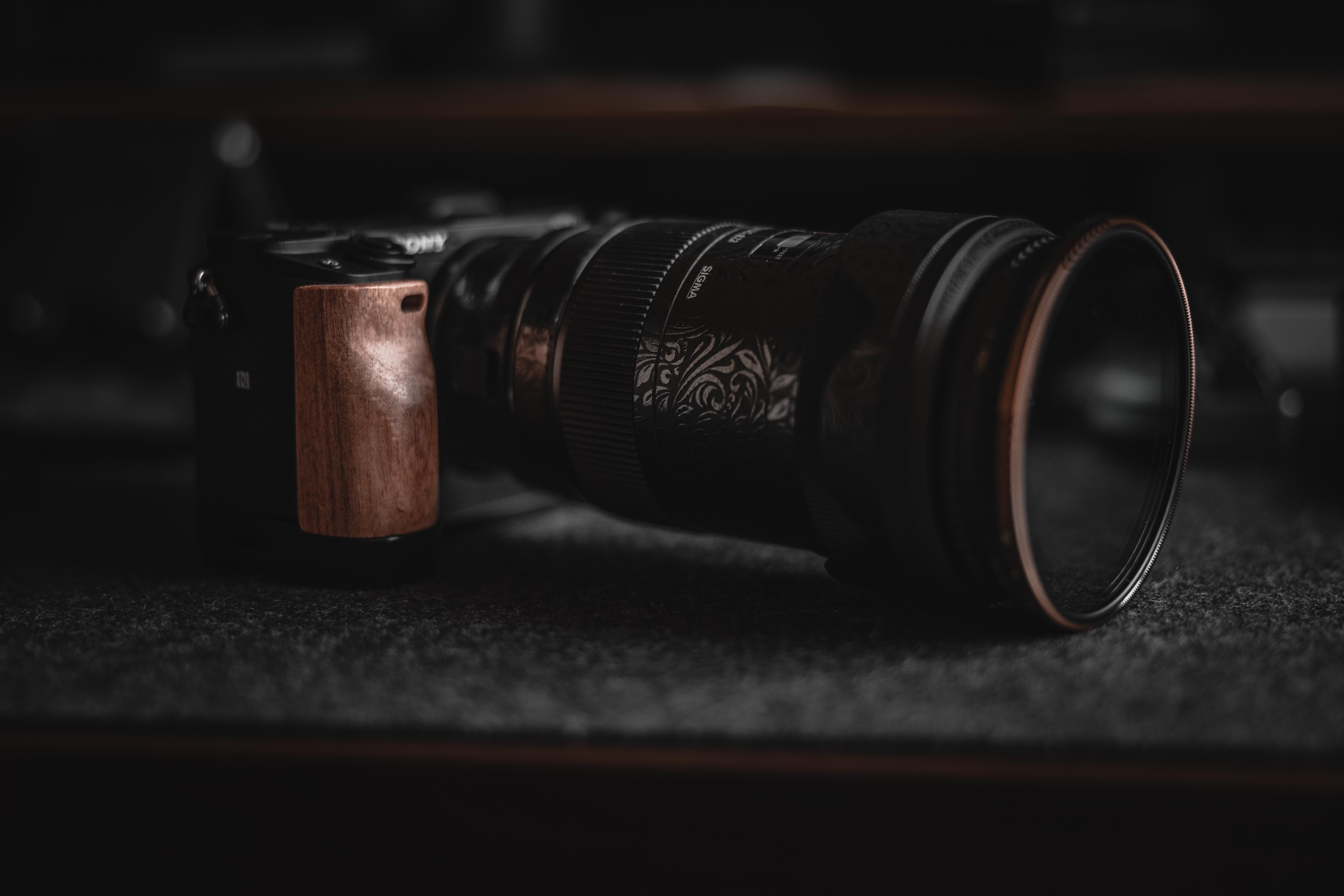 Choosing a camera as a hobbyist/artist Cameras