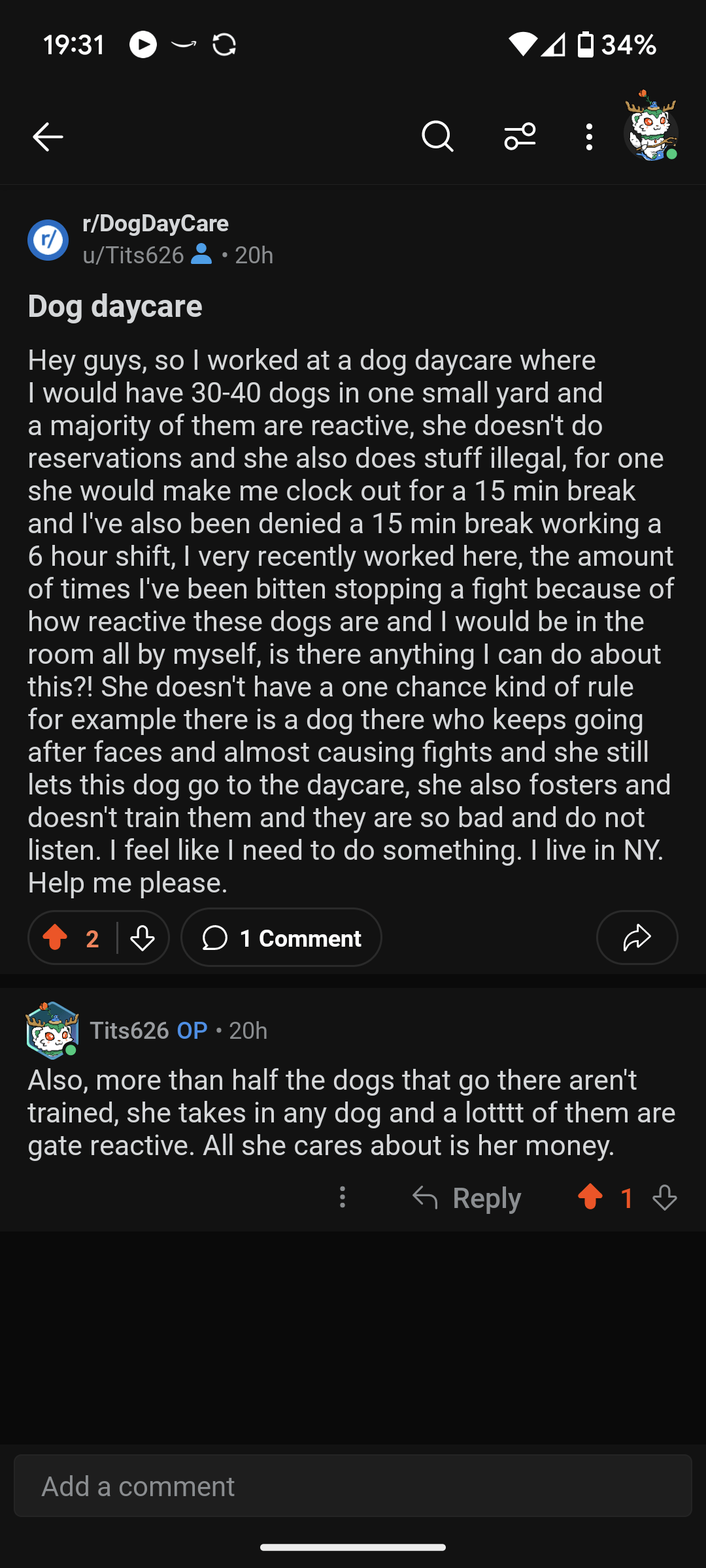 DogDaycareOwnerStaff