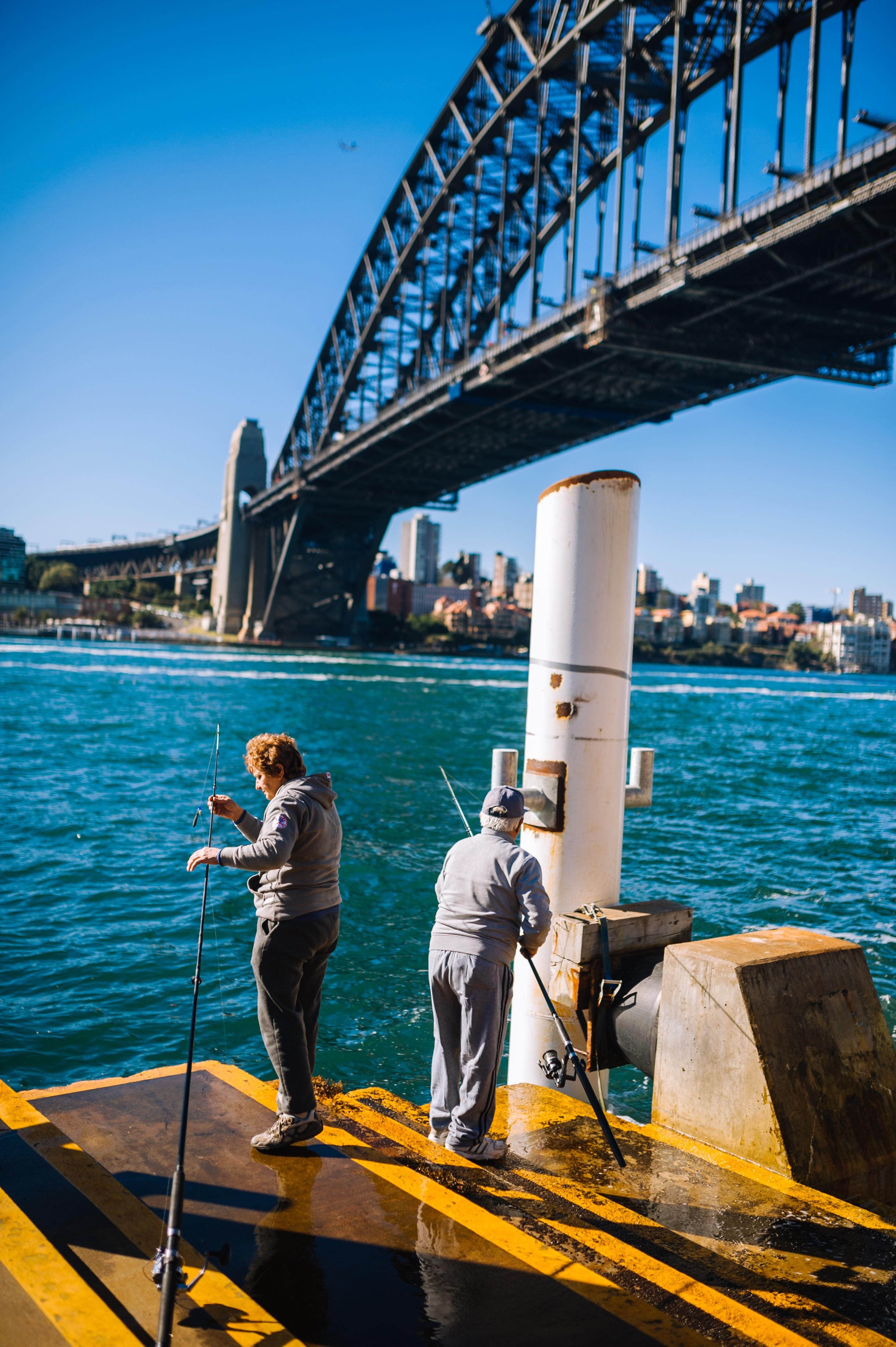 A couple fishing under Sydney Harbour Bridge r/australia