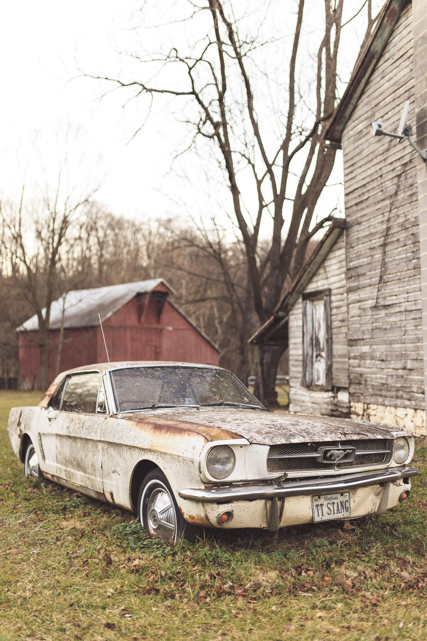 ITAP of a derelict Mustang in Western Virginia r/itookapicture