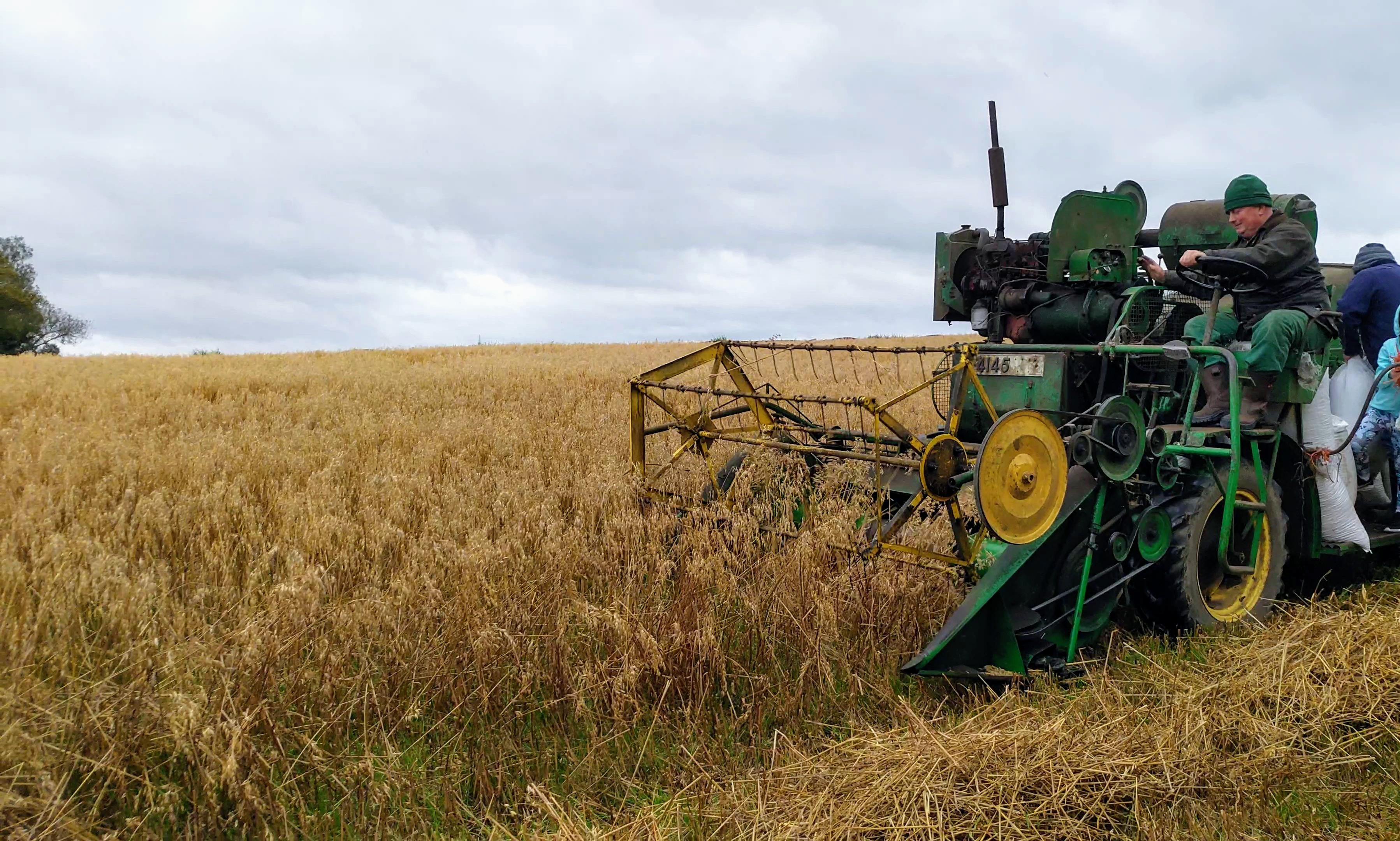 Annual Corn Harvest r/farming