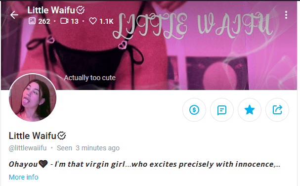 littlewaiifu : elicottero65