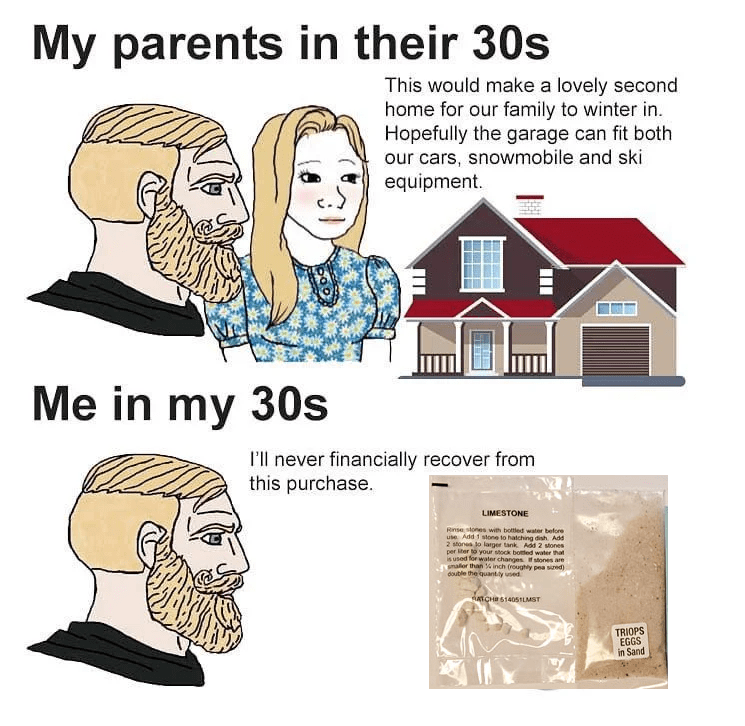 Shrimpflation r/triops