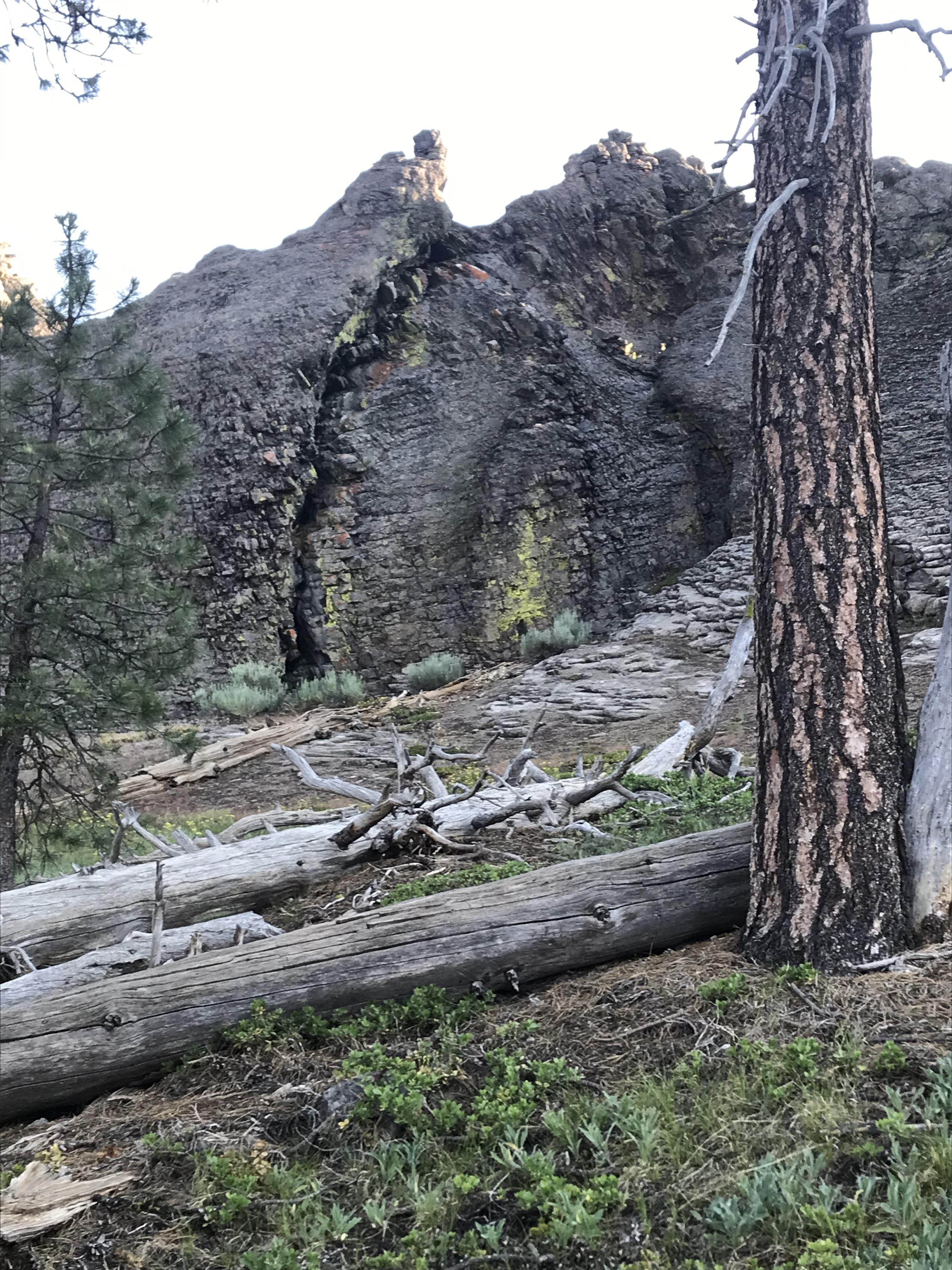 Gearhart Mtn, Oregon r/geology