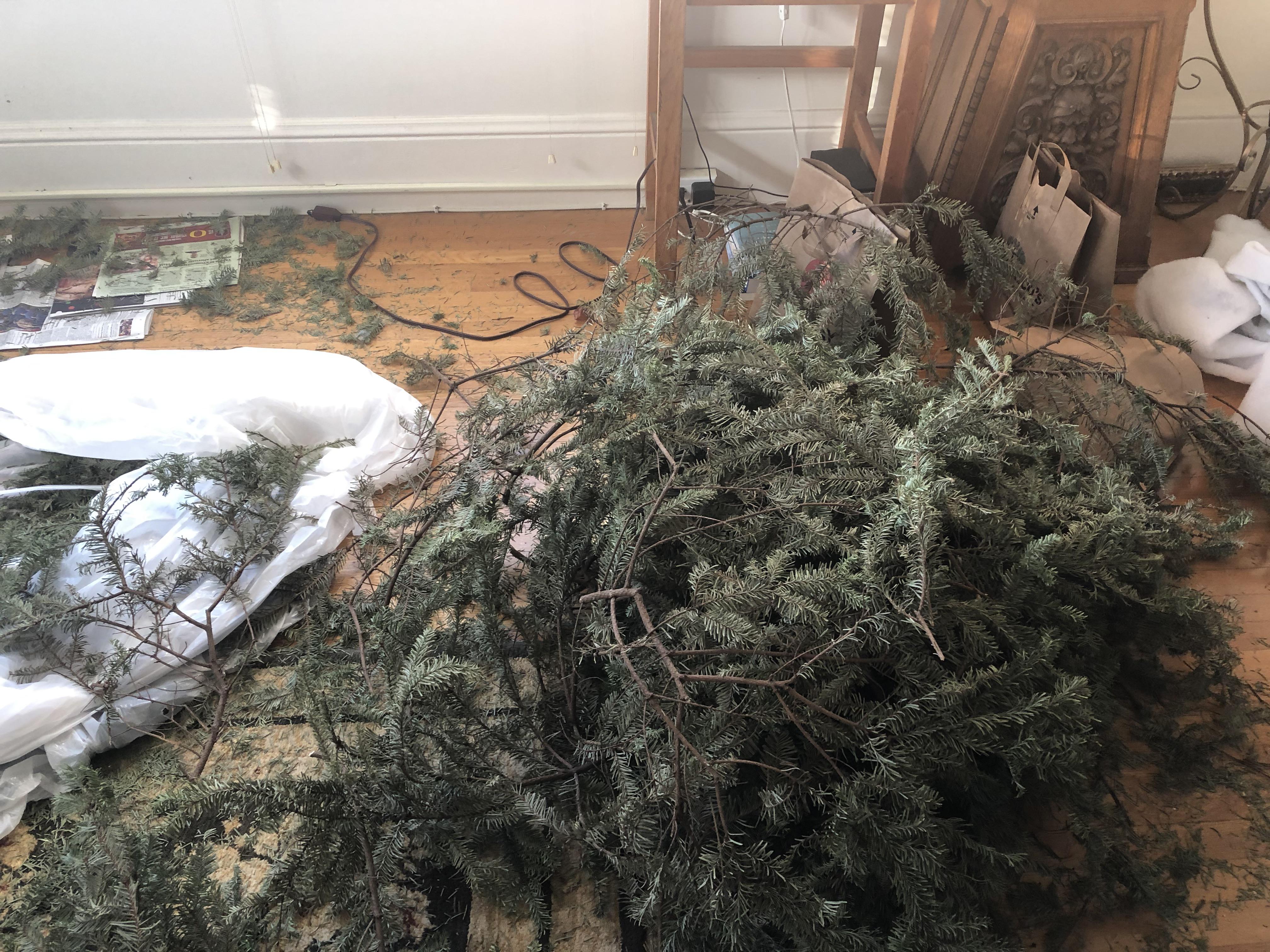 My 8 foot Christmas tree wouldn’t fit down our narrow stairs so my son