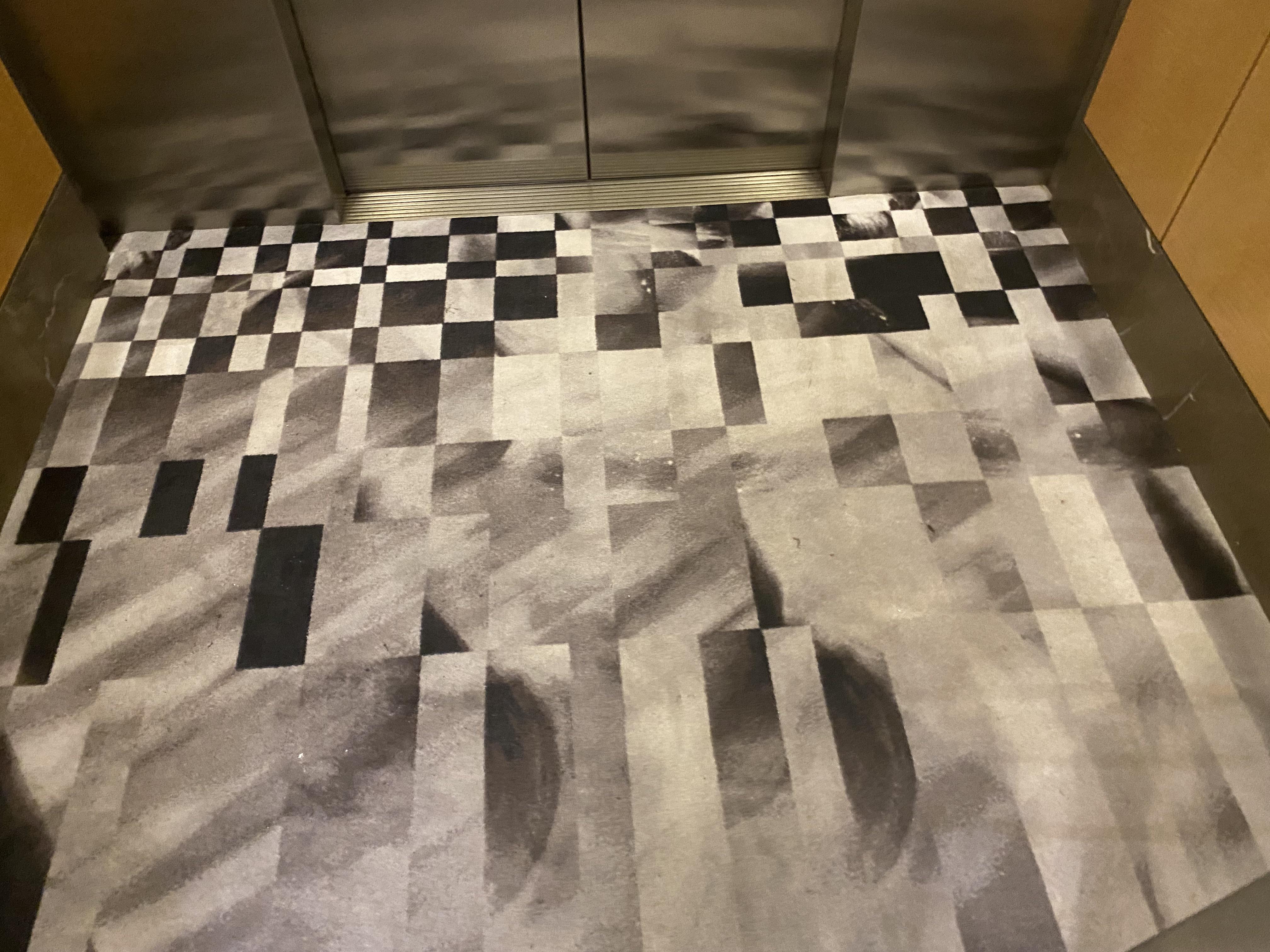 This elevator carpet design (it’s not dirty) r/CrappyDesign