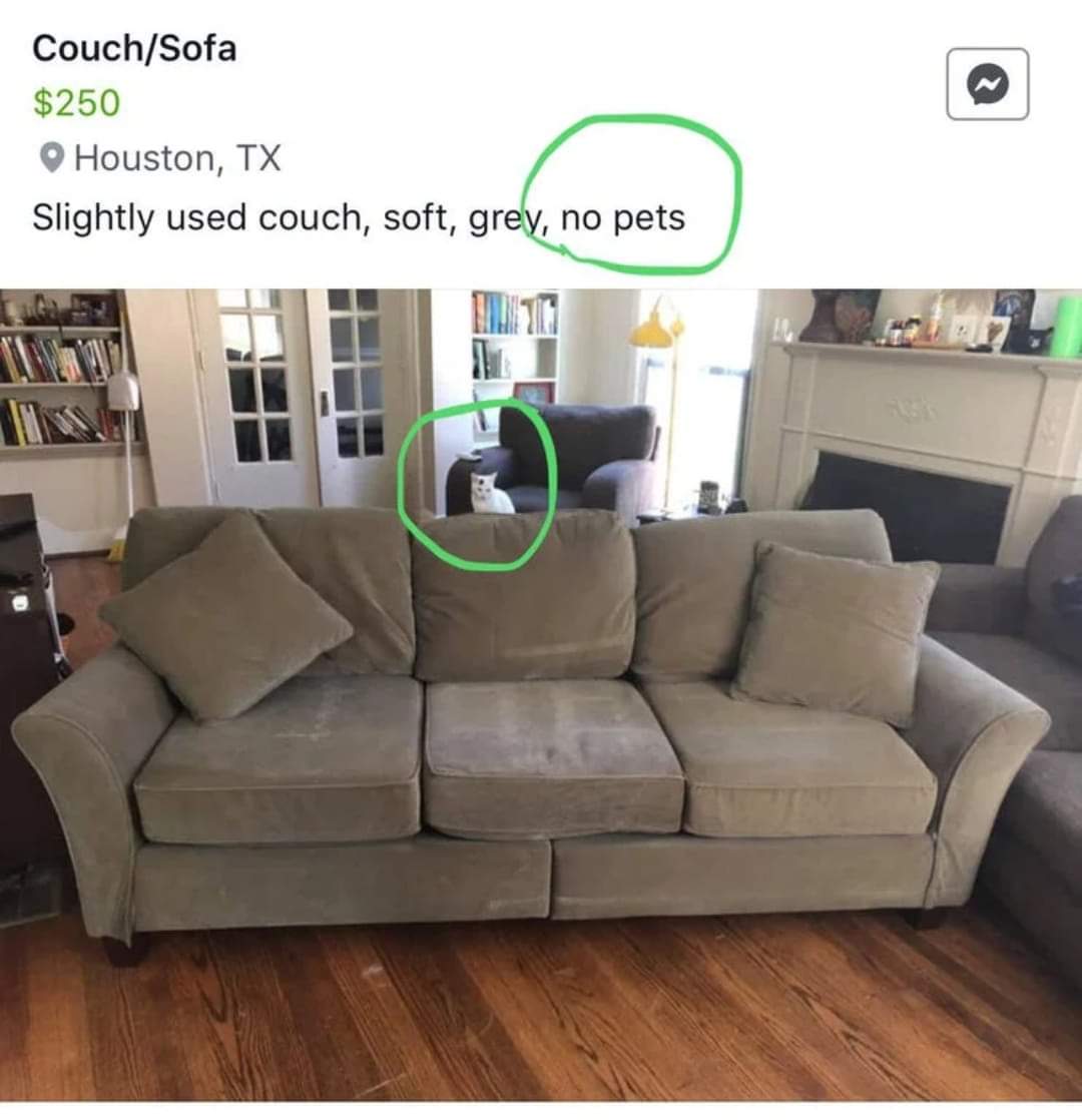 To sell a sofa... r/therewasanattempt