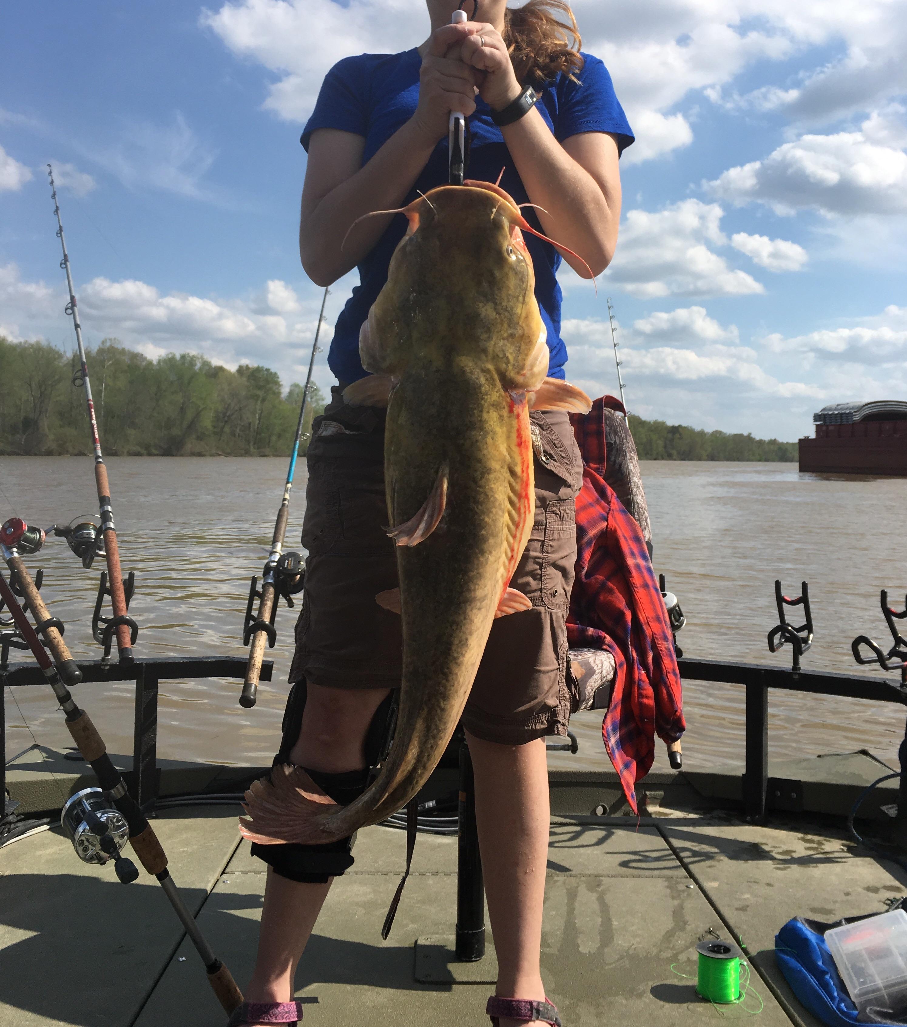 New Personal Best Flathead on Rod and Reel. 26 pounds. r/Fishing
