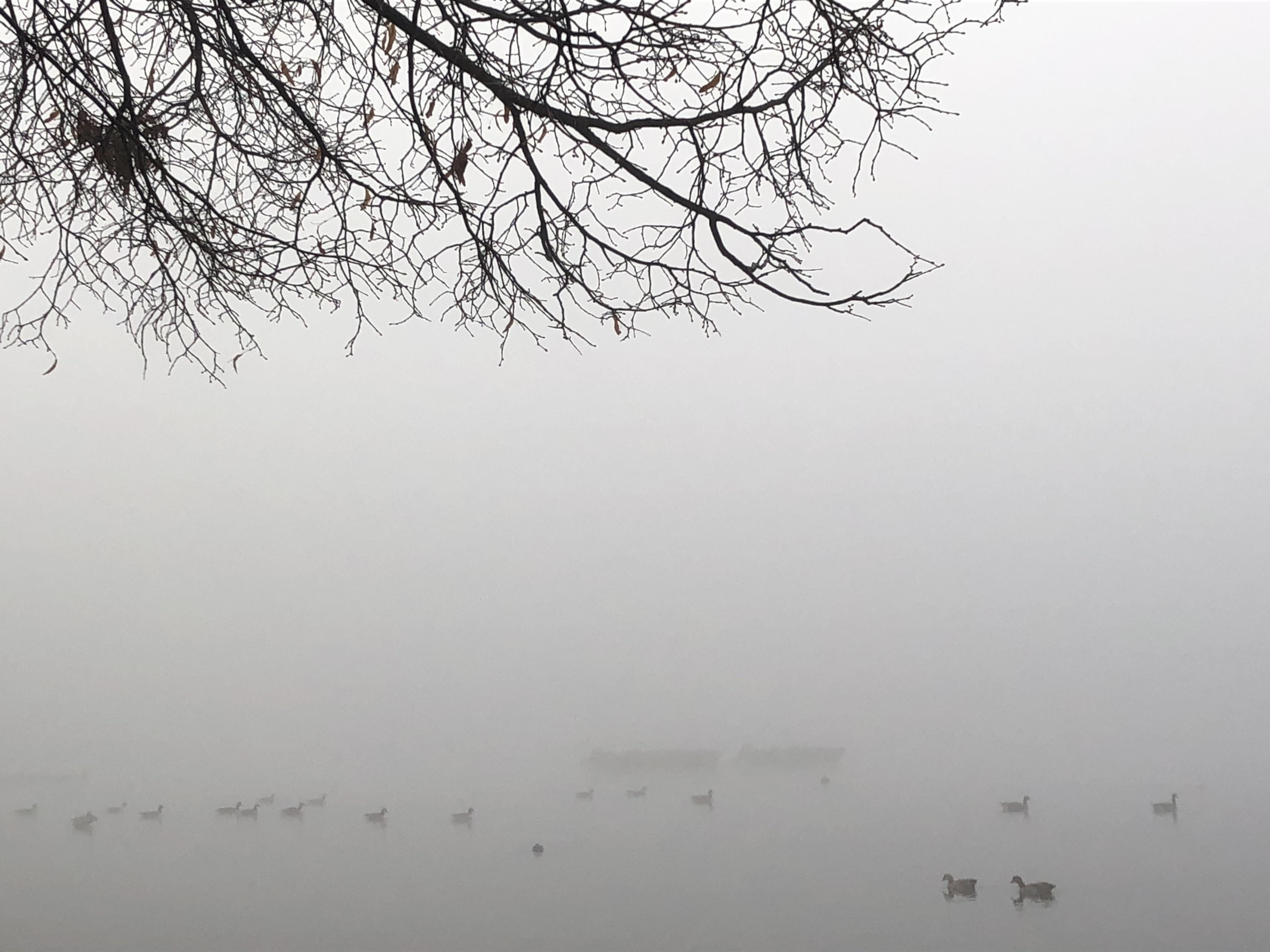 Second day filming Hyde park the views get better and better r/london