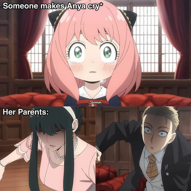 loid claims it's "only for the mission"yet was willing to goddamn break