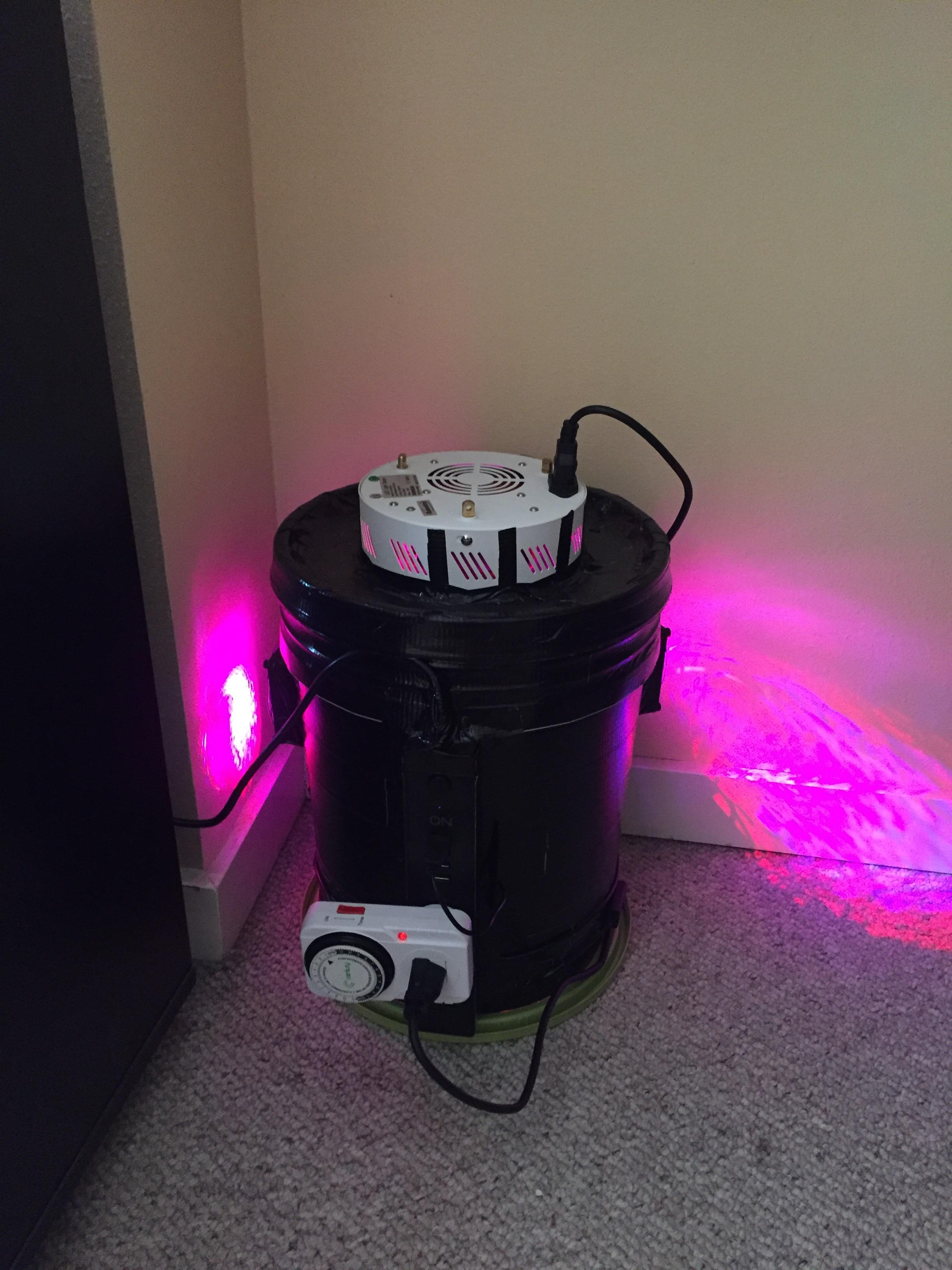 And it begins! r/SpaceBuckets