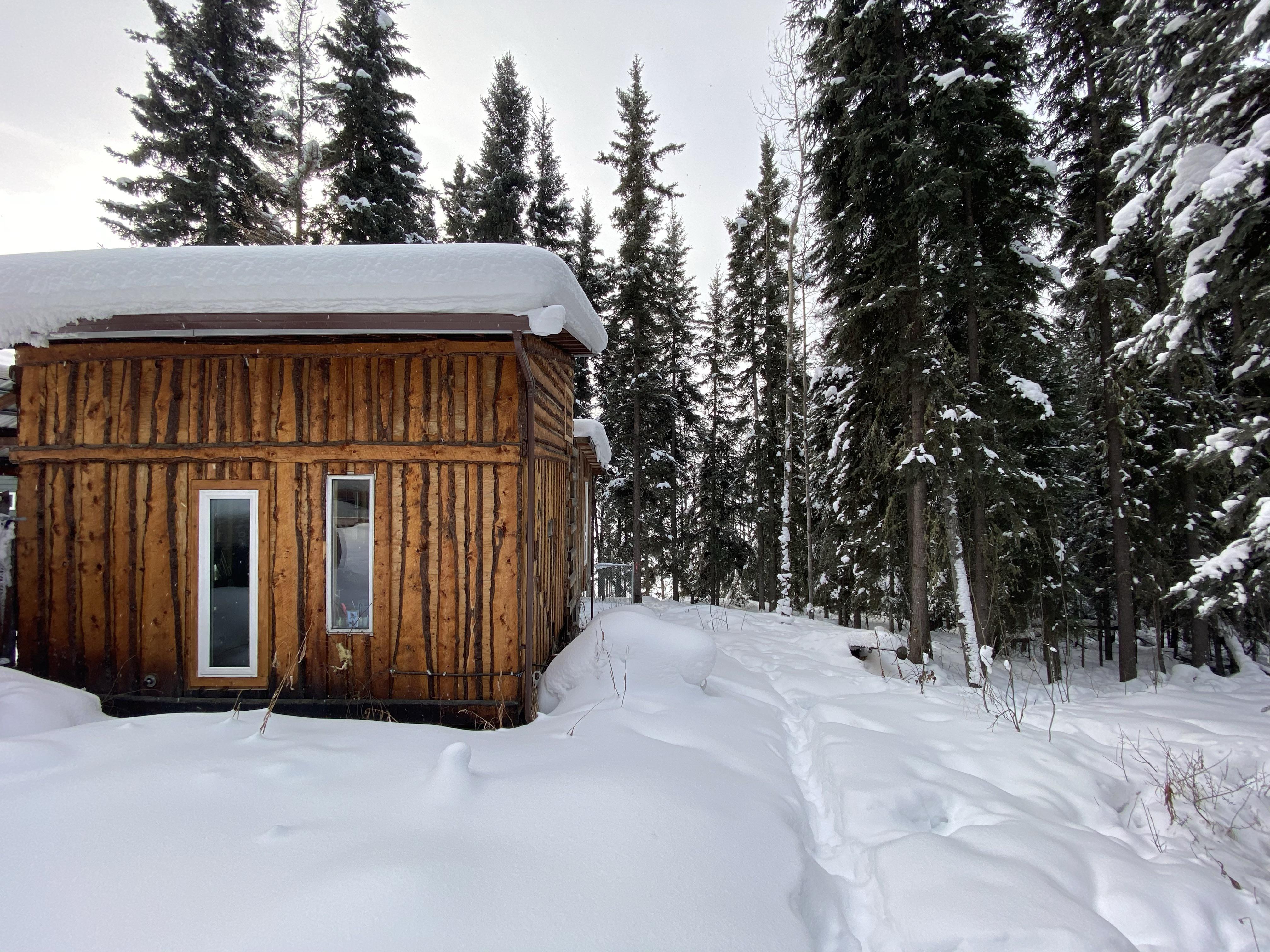 My little dry cabin on the Tanana River, Alaska r/CabinPorn