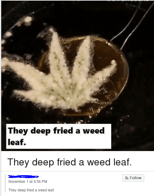 They deep fried a weed leaf. r/ontheledgeandshit