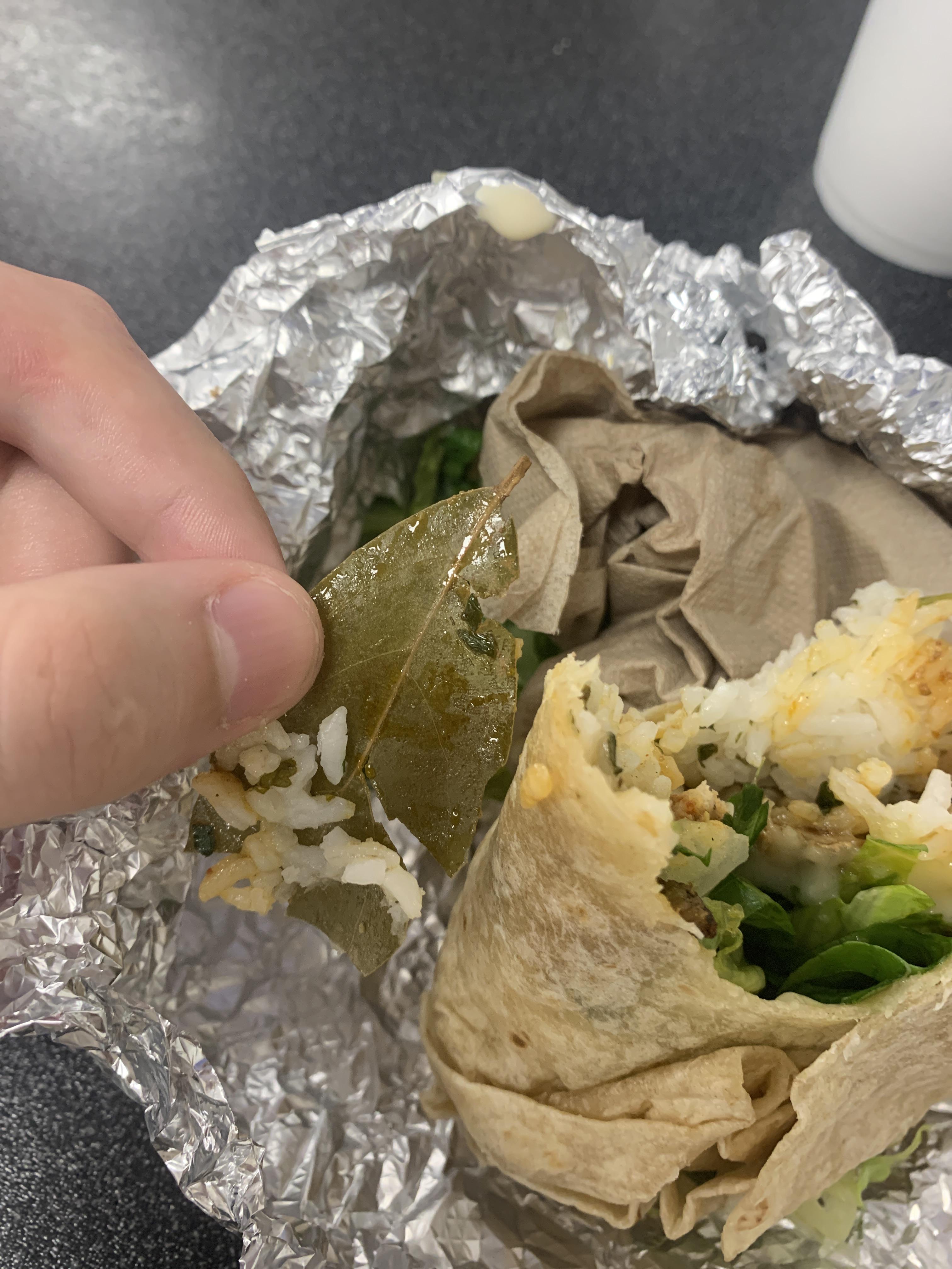 Leaf found in burrito r/Chipotle