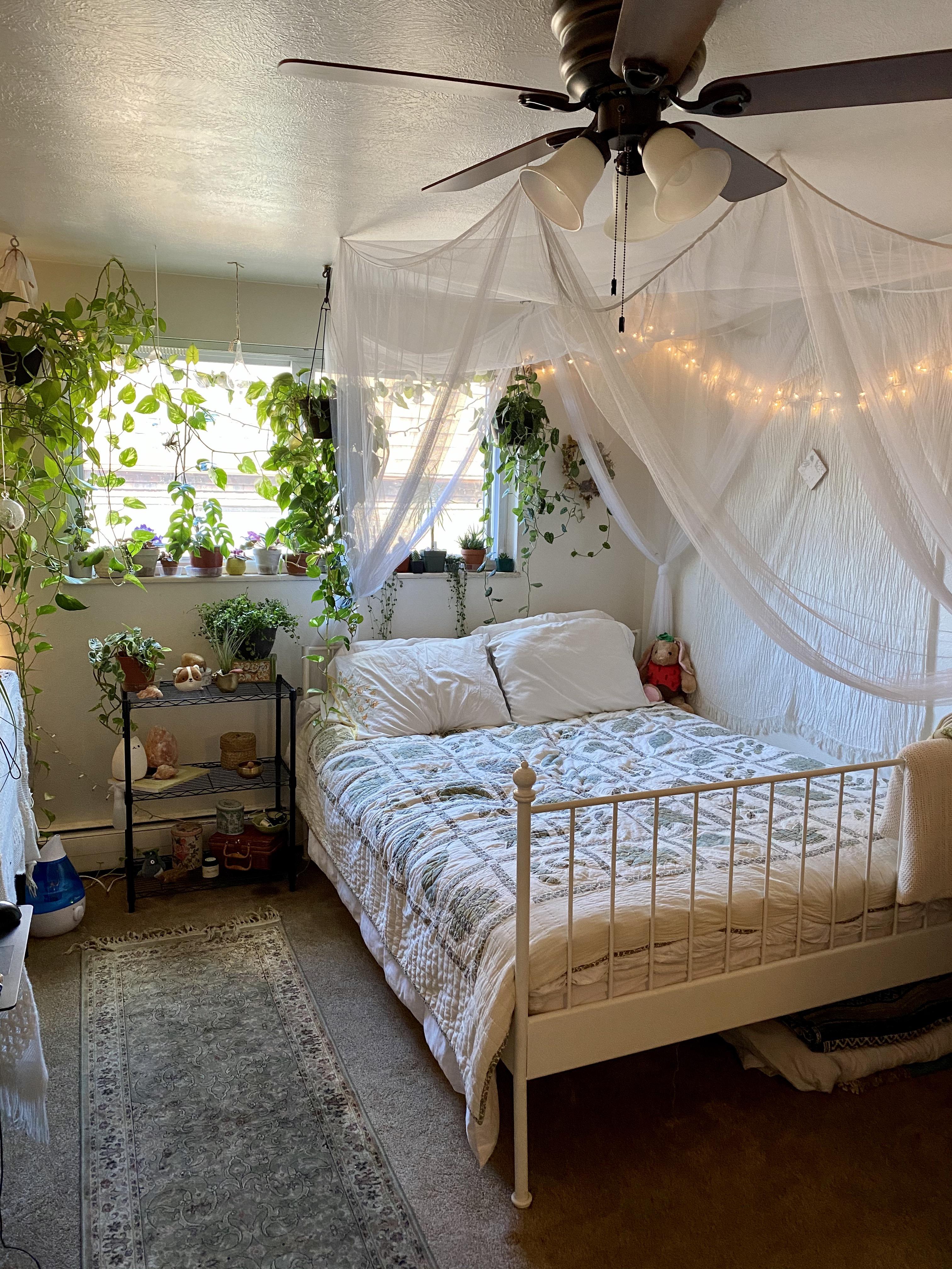 Nature Themed College Apt. Bedroom Greeley CO r/AmateurRoomPorn