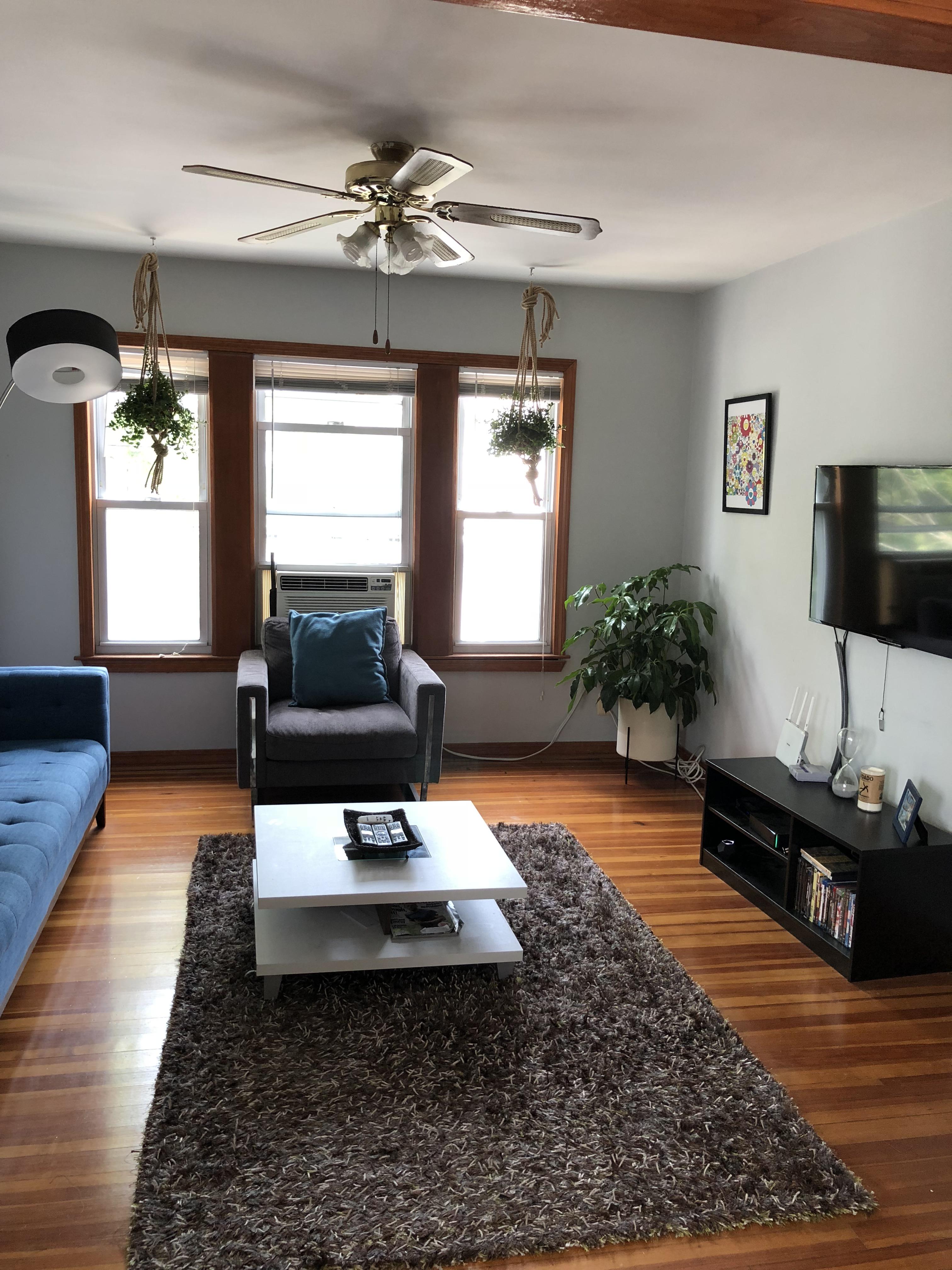 Finally added green to my living room. Any suggestions how i can