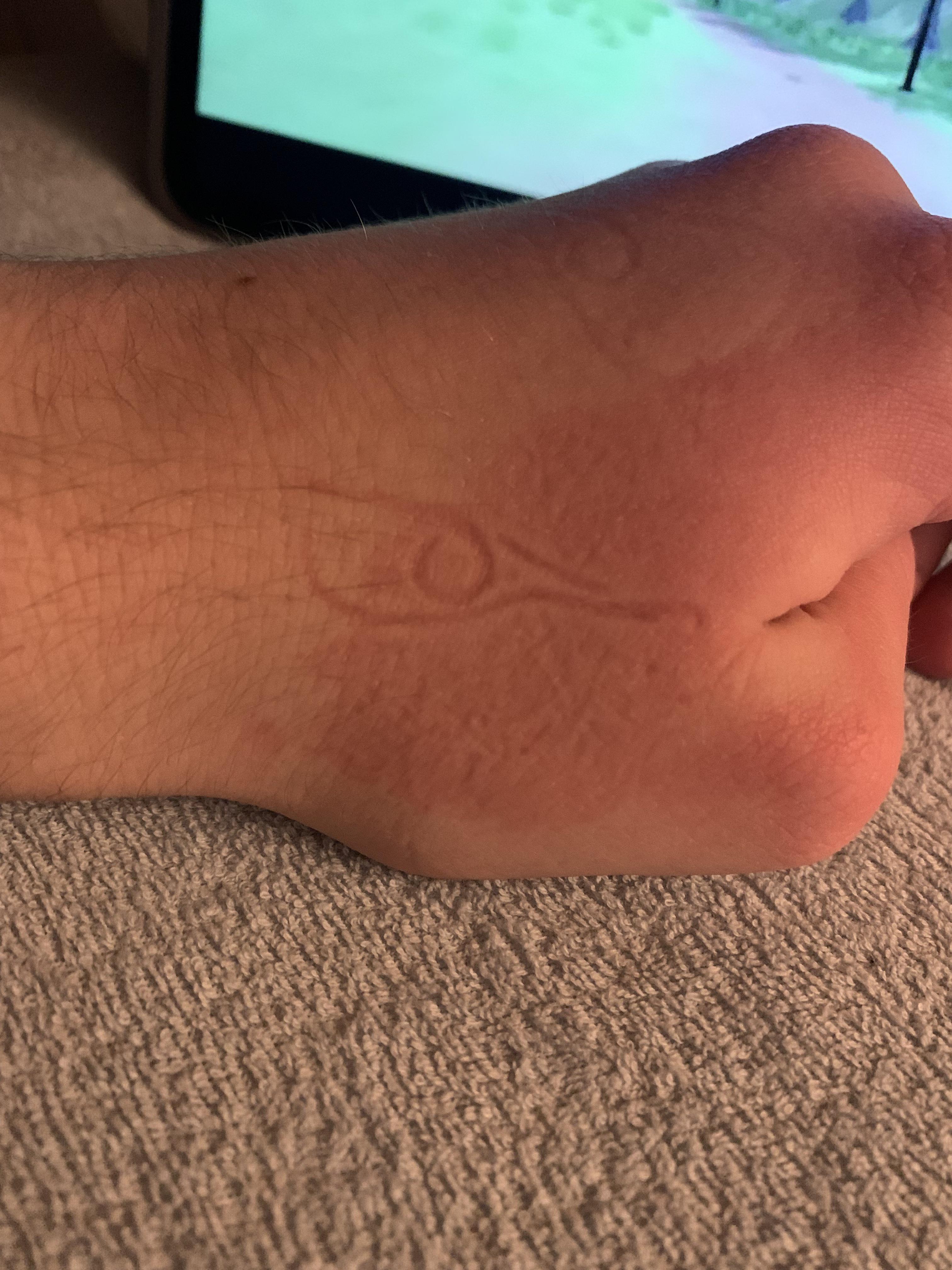 A bird imprint on my hand after sleep mildlyinteresting