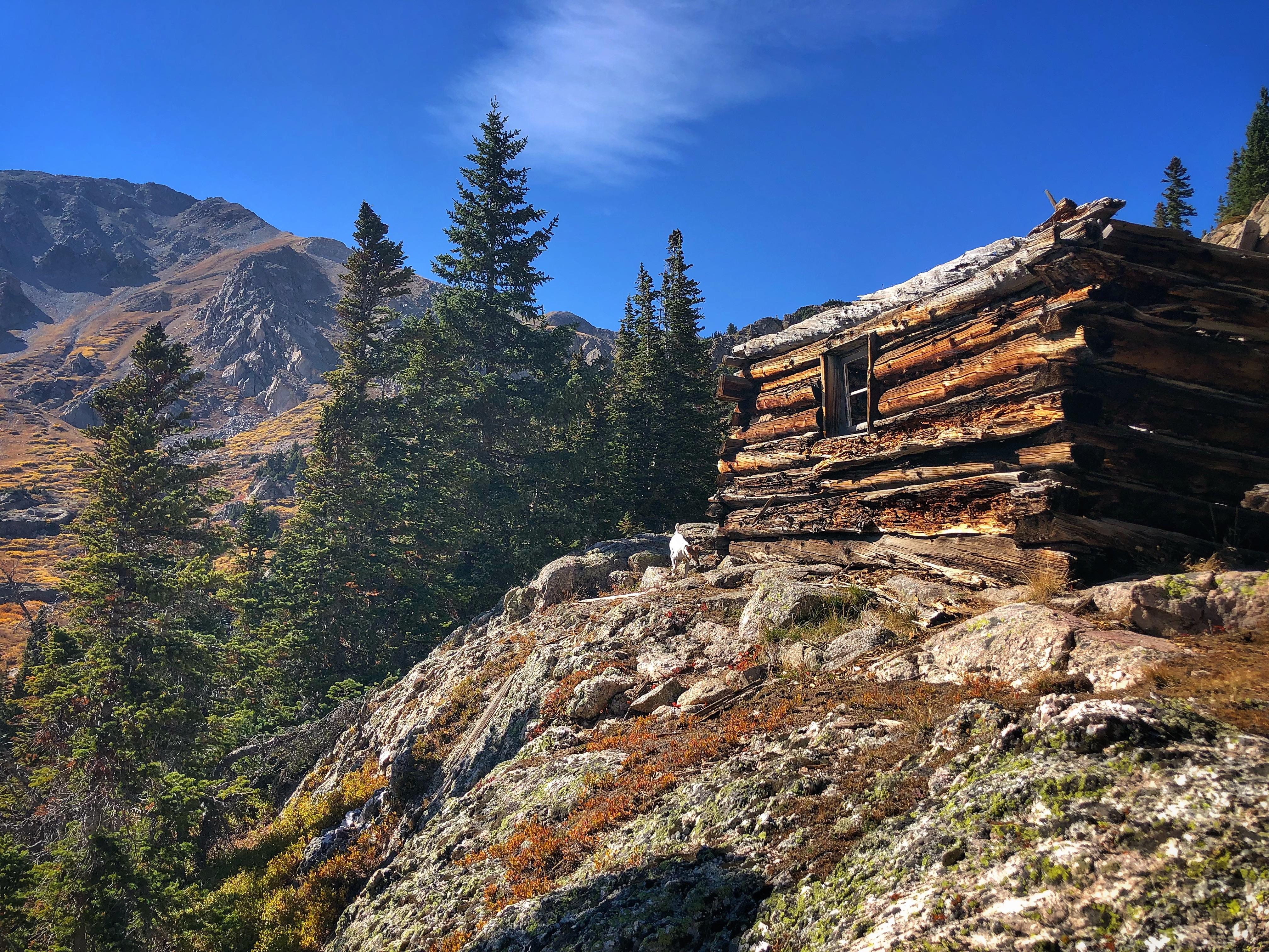 Taylor Pass homestead ruins. Near Crystal Mountain. r/Colorado