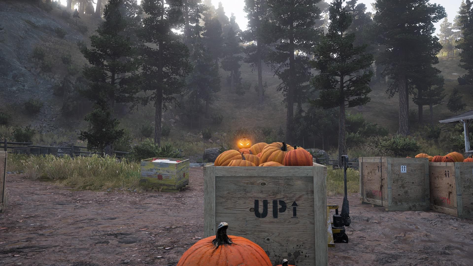 Have you guys noticed new pumpkin at Rae Rae's pumpkin farm too? ;) r