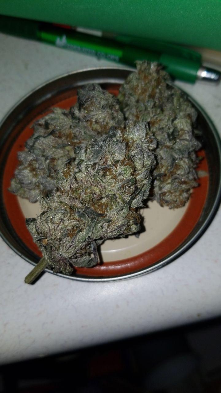 Reddit Dive into anything