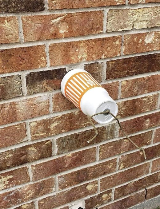 using a whataburger cup to insulate your outdoor faucet. r