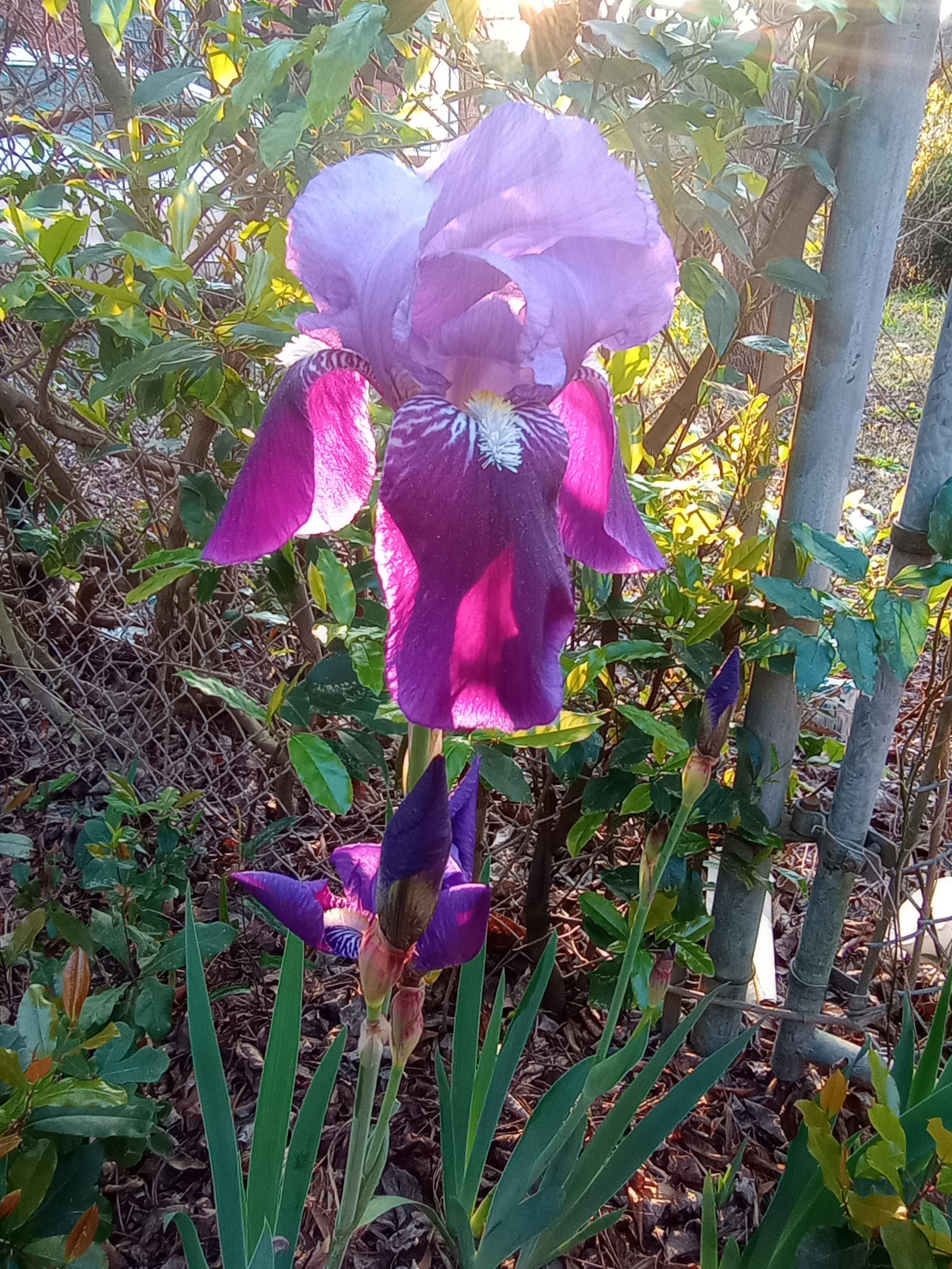 How I know it's Spring r/gardening